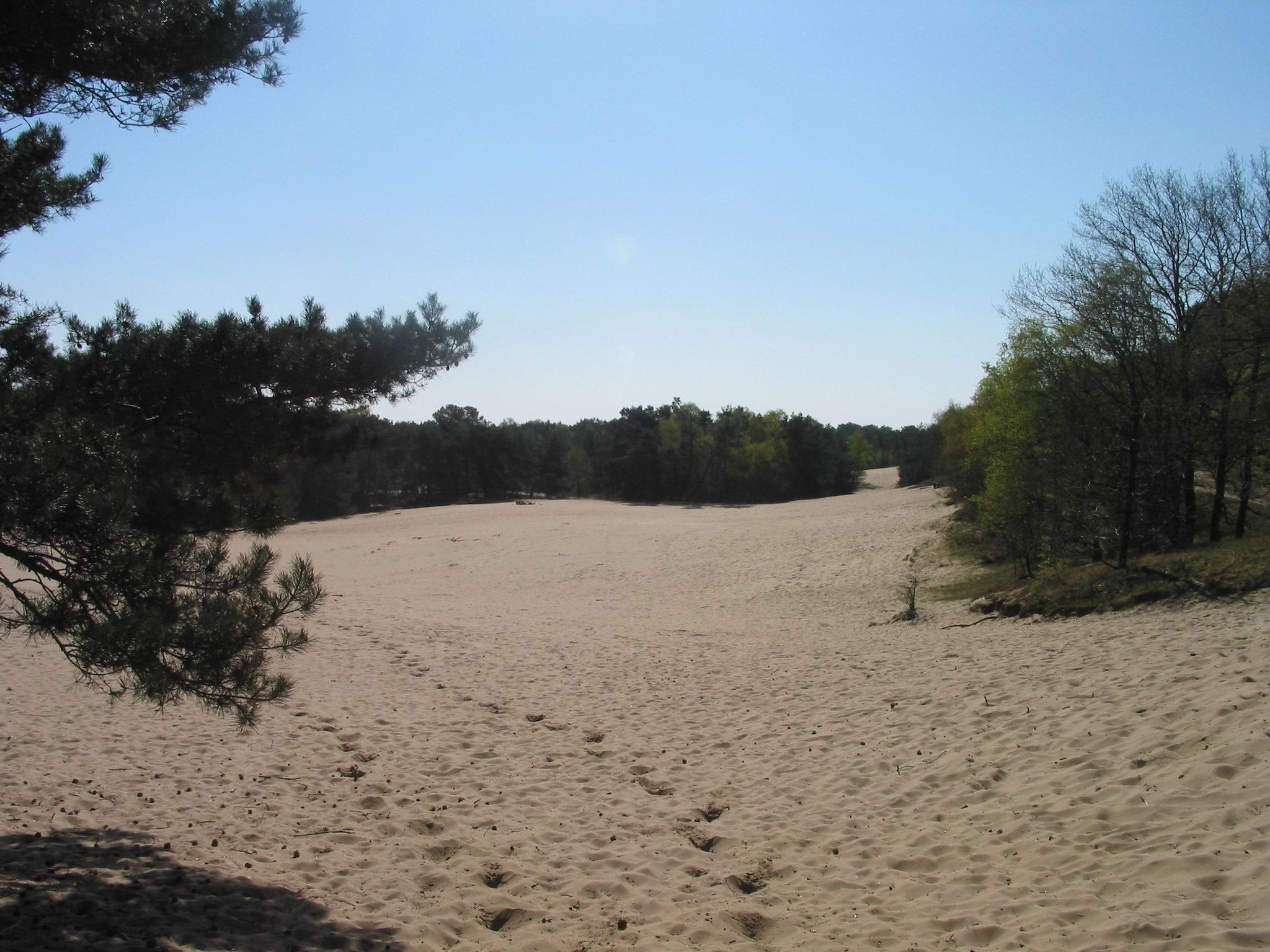 Parkfaciliteiten bij Vakantiepark Herperduin 16 in Herpen