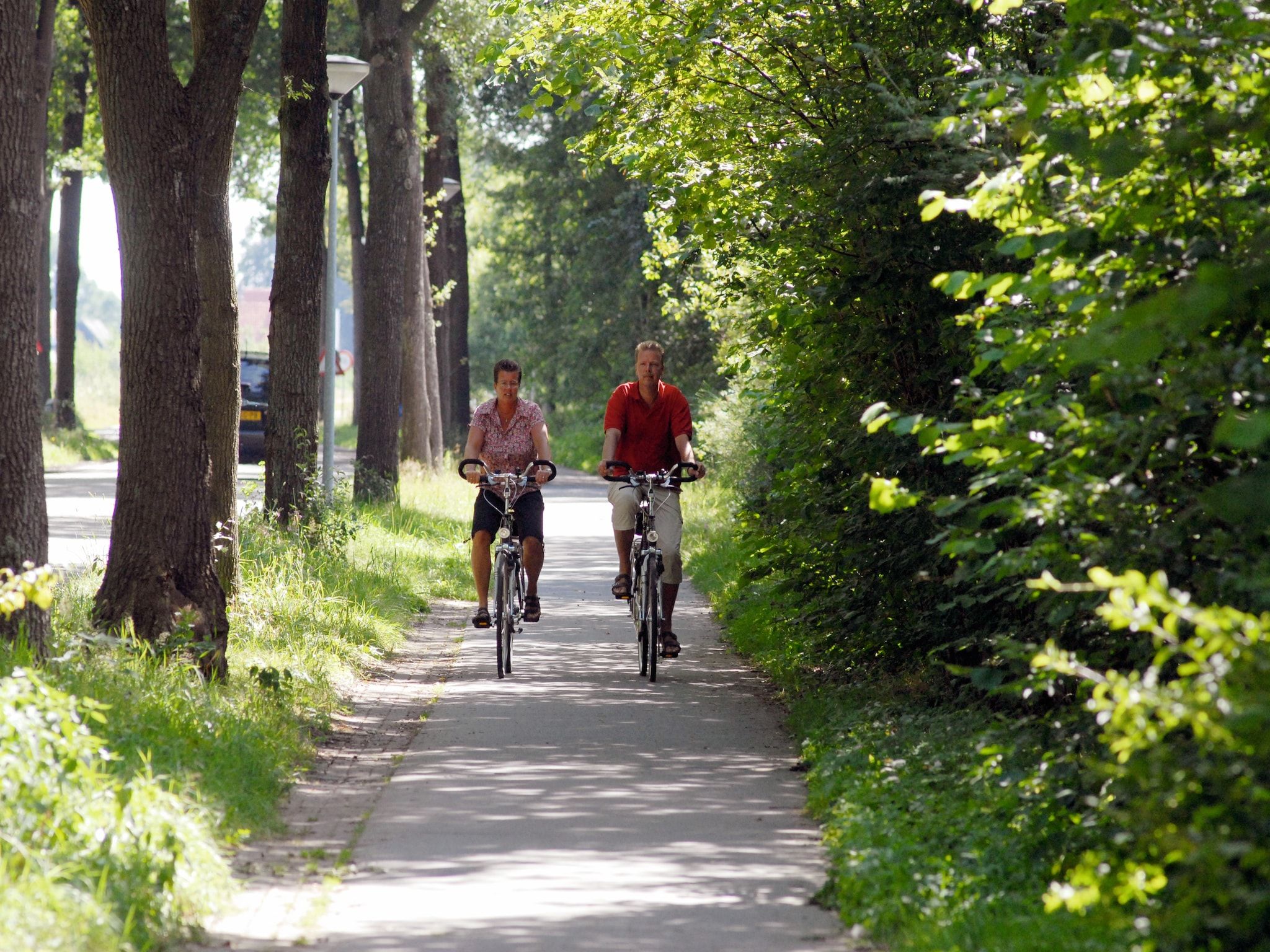 De omgeving van Het Drentse Wold 5 in Hoogersmilde