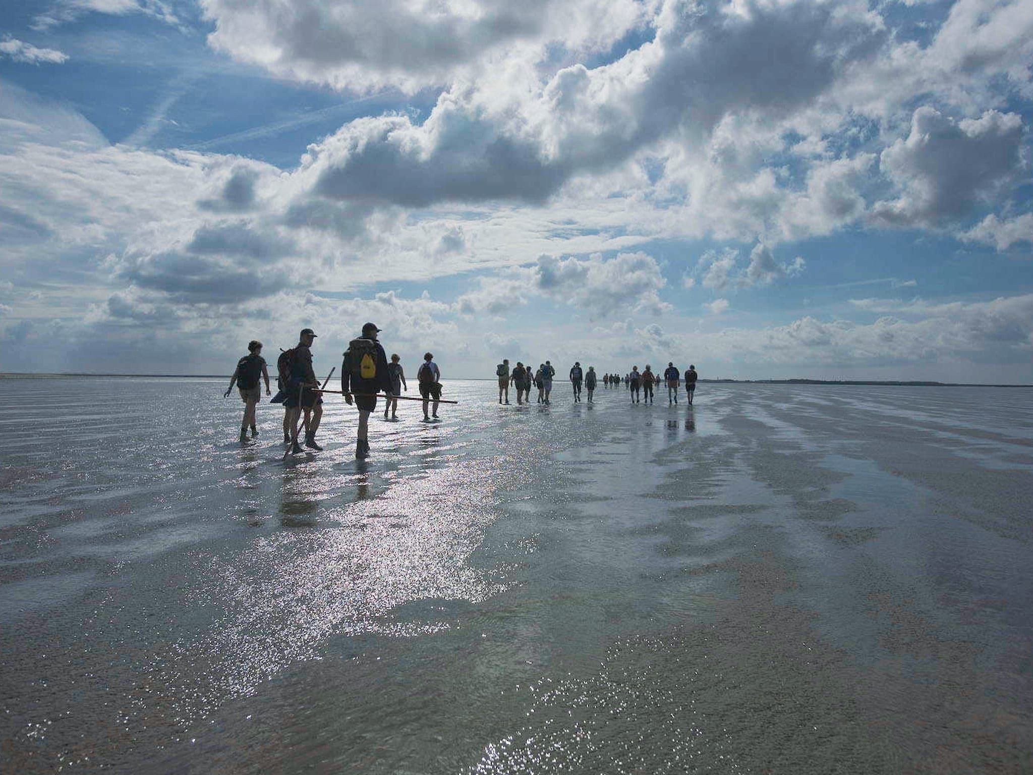 De omgeving van Vakantiepark Emslandermeer 7 in Vlagtwedde