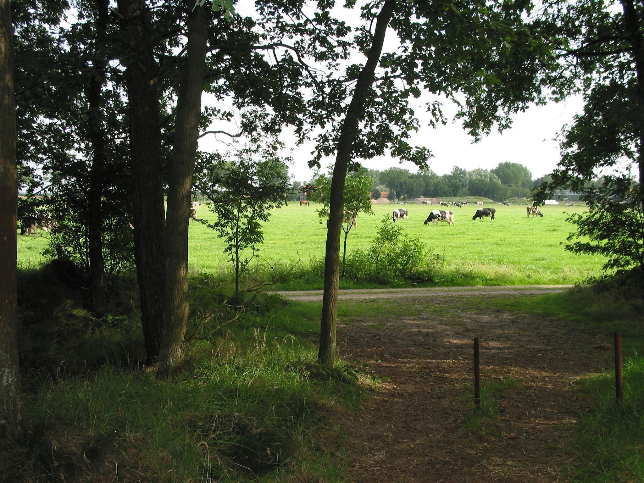 Vakantiepark Herperduin 17 in Herpen - Foto 18 van 31