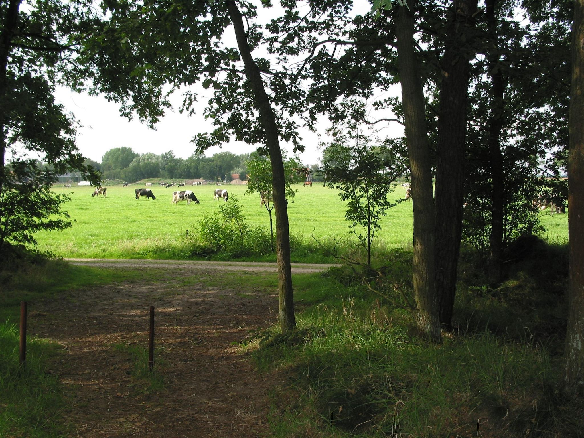 Vakantiepark Herperduin 17 in Herpen - Foto 26 van 31