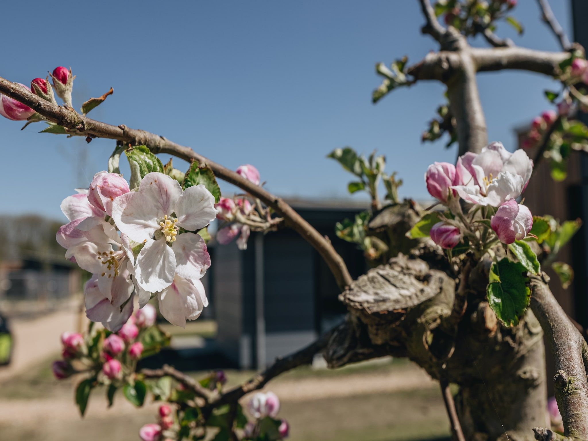 Park Wijdenes 2 in Wijdenes - Foto 14 van 40