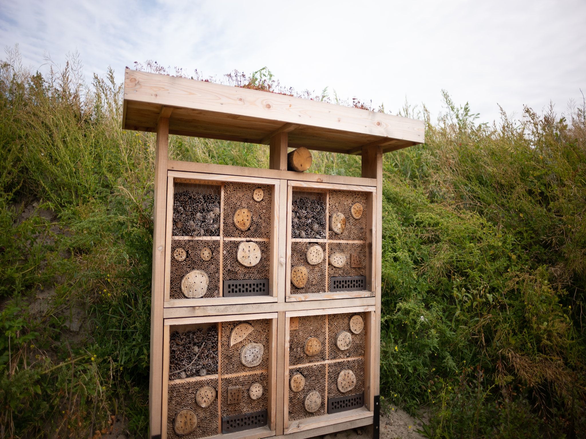 Sfeerbeeld van Resort Callantsoog 2 in Callantsoog