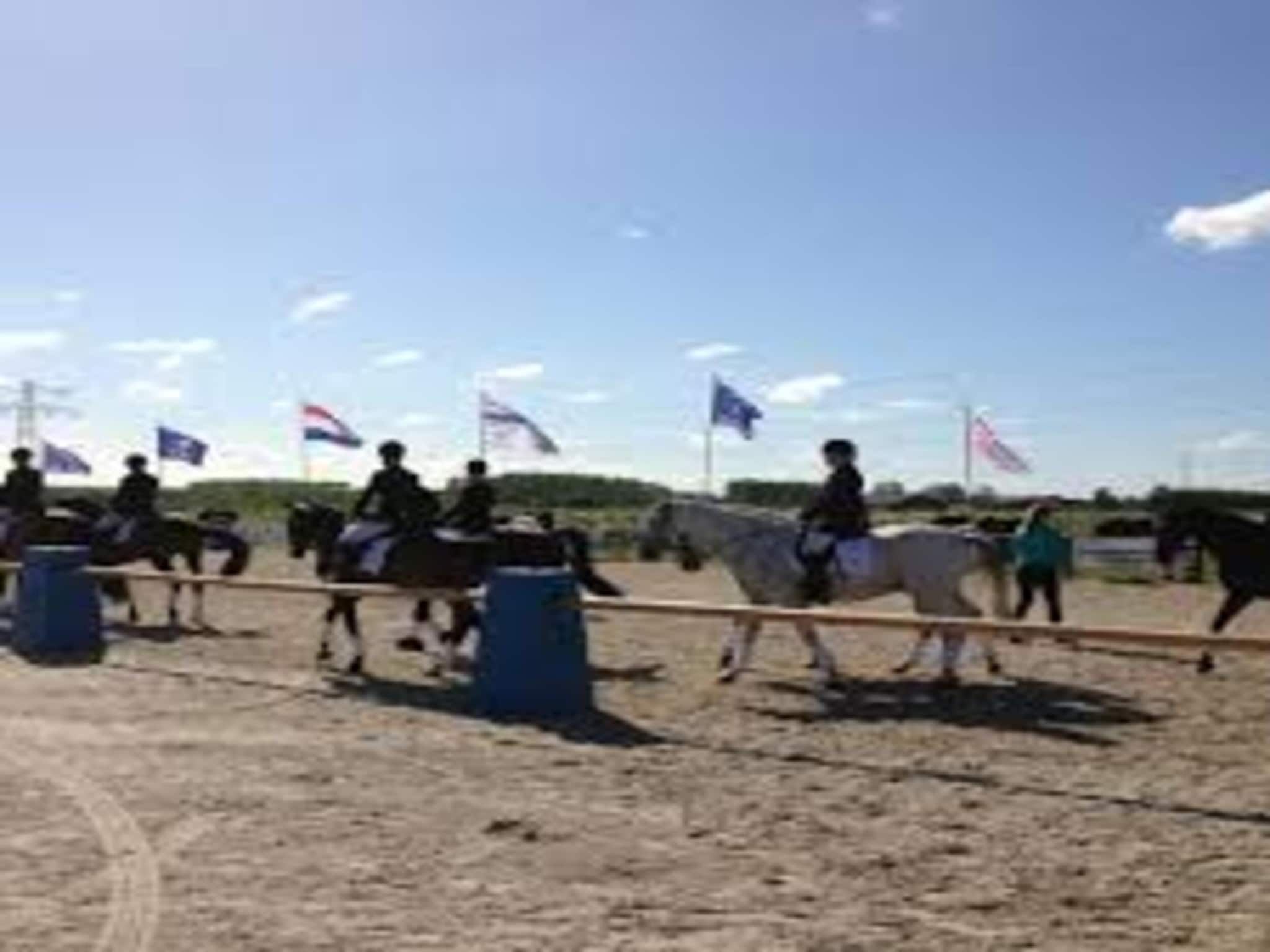 Resort Hoek van Holland in Hoek Van Holland - Foto 38 van 40