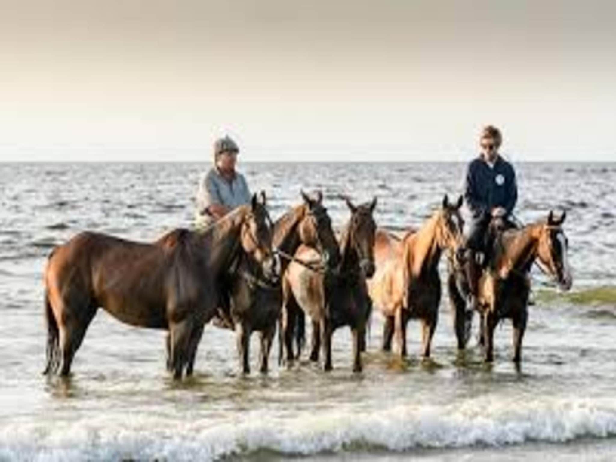 Resort Hoek van Holland in Hoek Van Holland - Foto 37 van 40