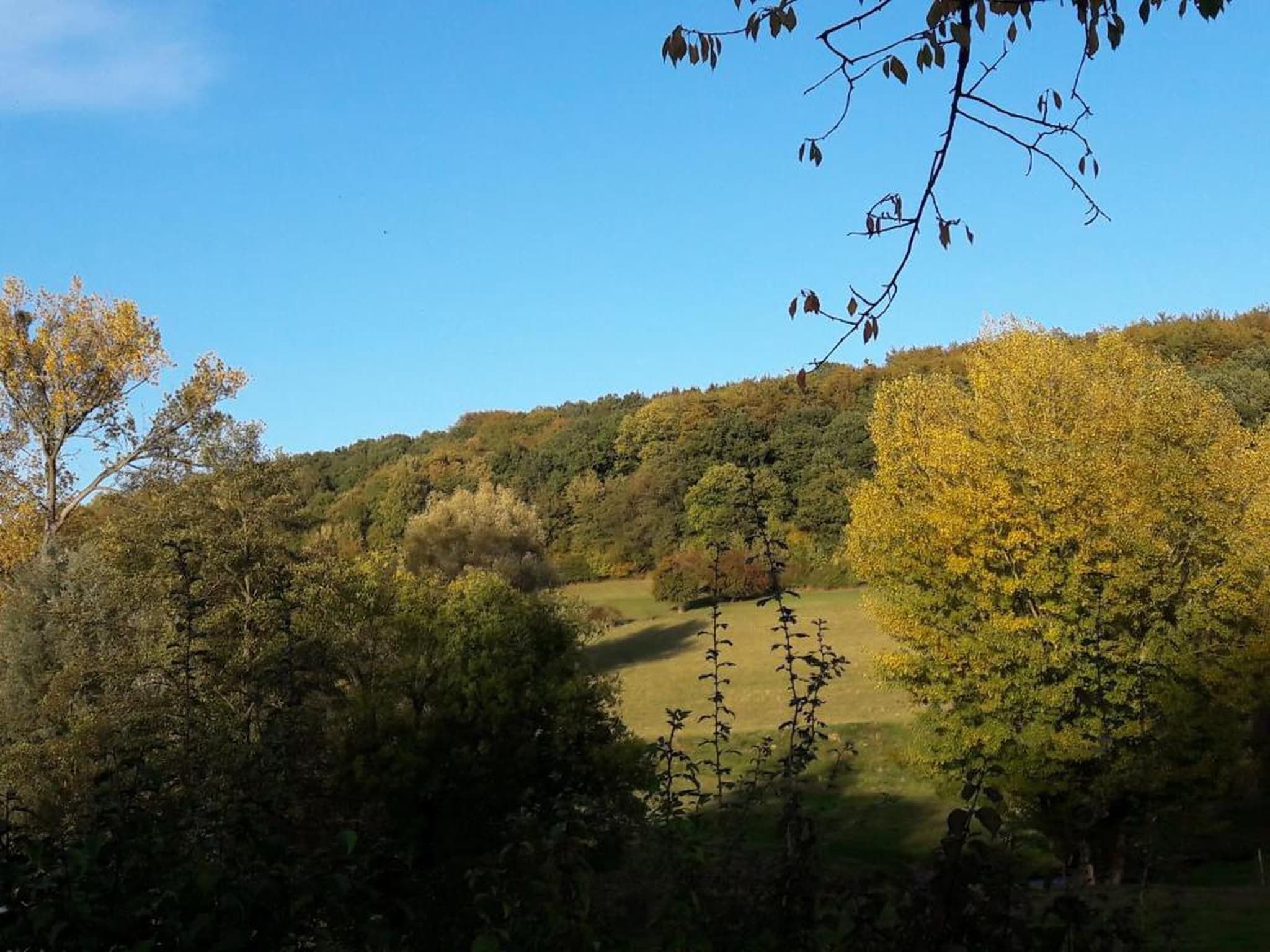 Resort Gulpen 2 in Gulpen - Foto 36 van 40