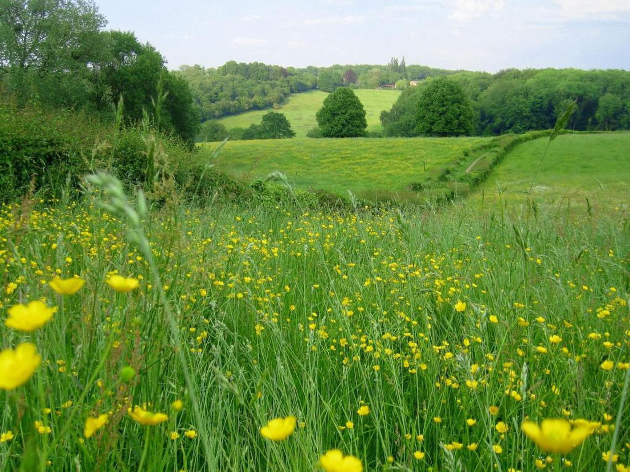 Resort Gulpen 3 in Gulpen - Foto 35 van 40