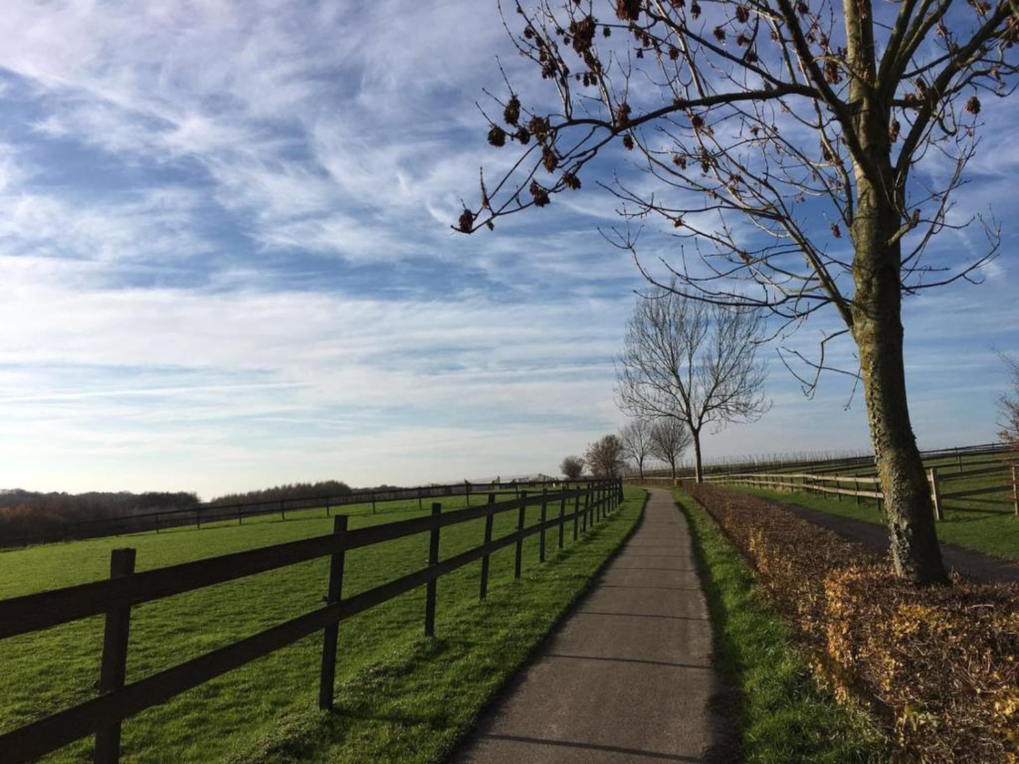 Resort Gulpen 4 in Gulpen - Foto 30 van 40