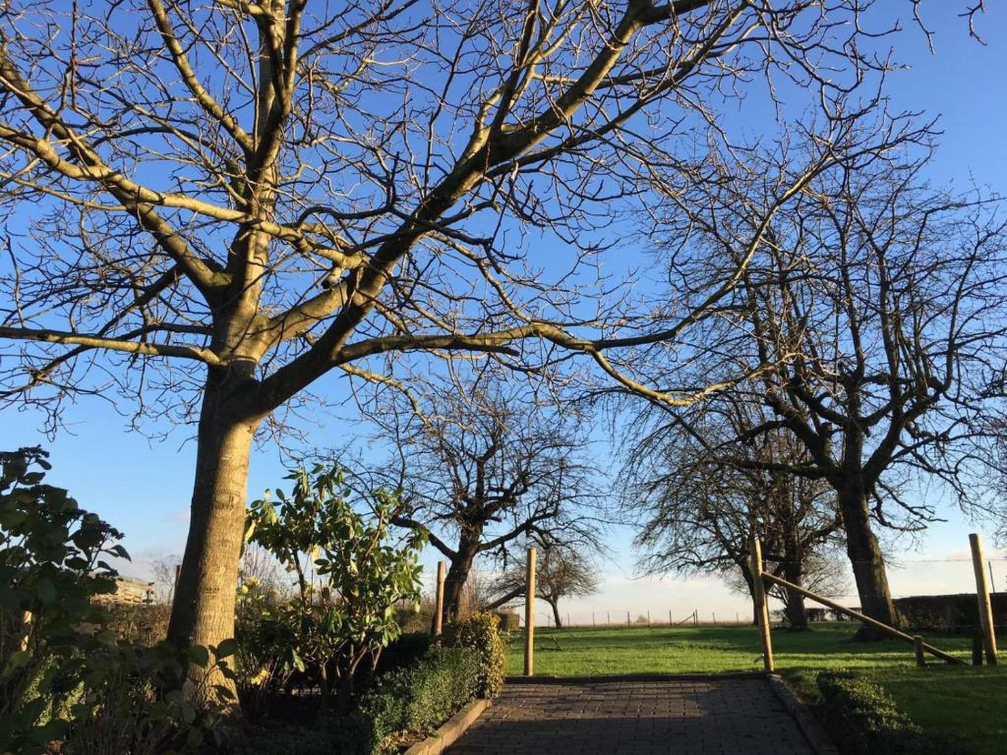 Resort Gulpen 5 in Gulpen - Foto 26 van 40