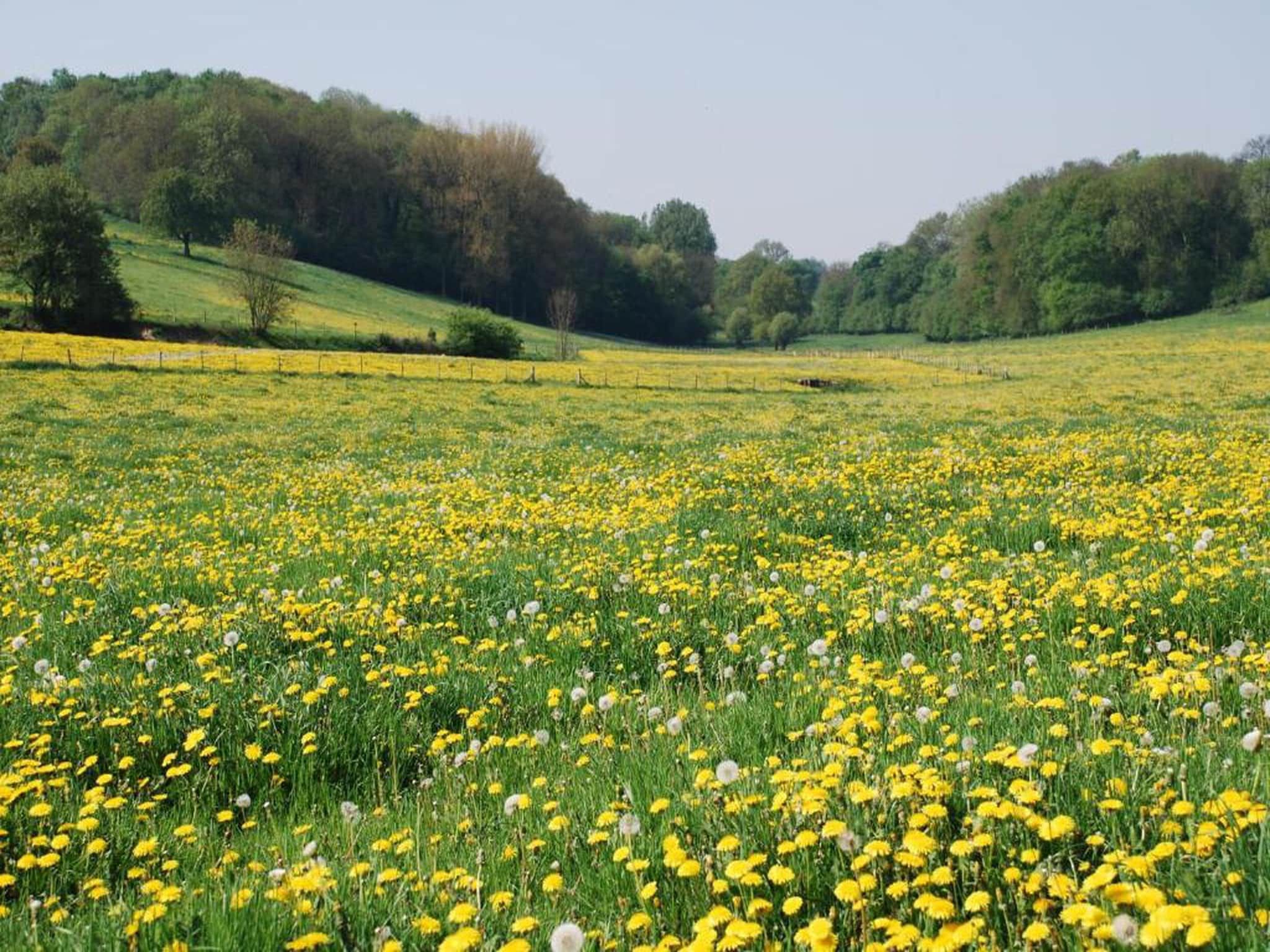 Resort Gulpen 6 in Gulpen - Foto 24 van 40