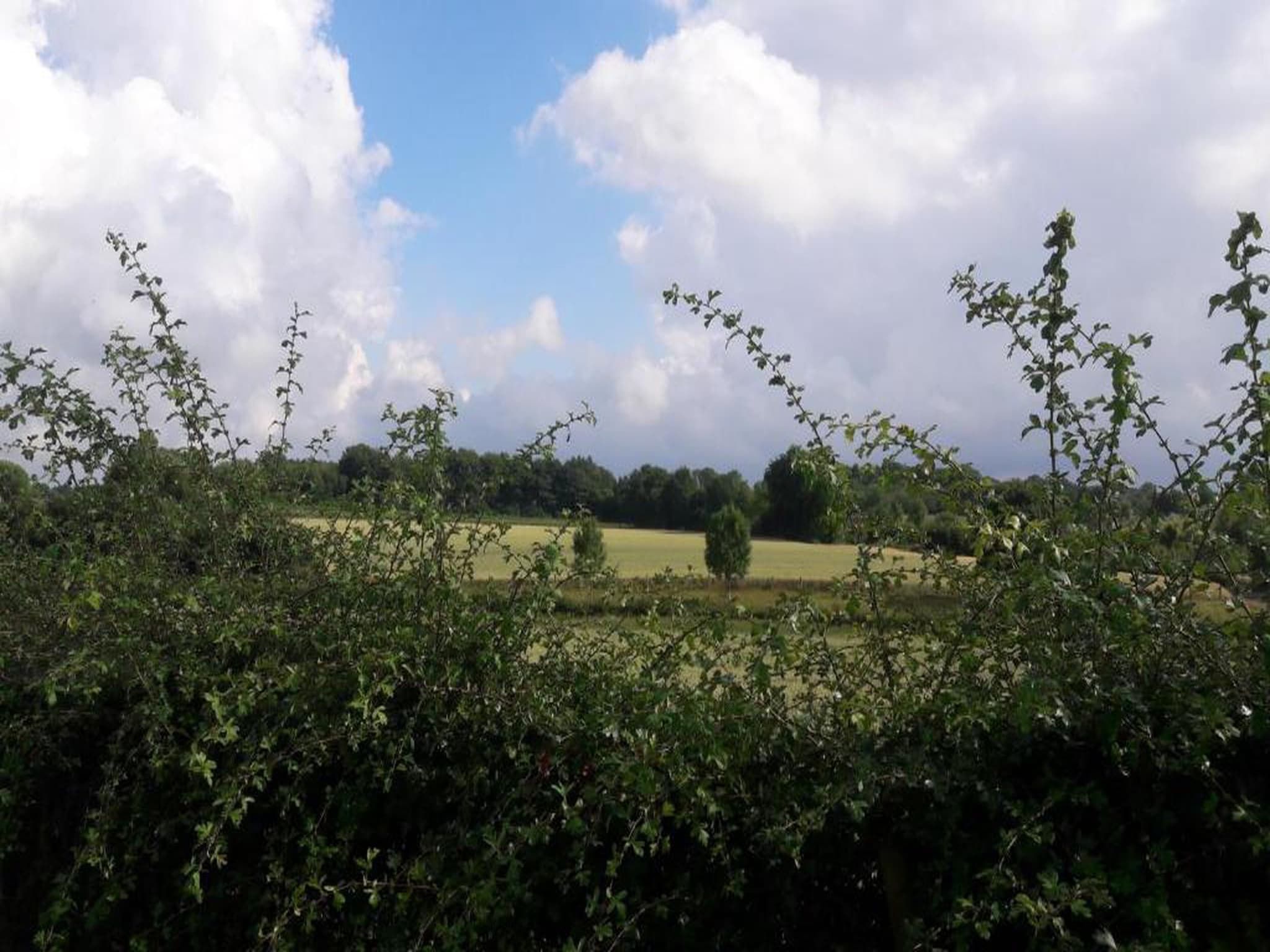 Resort Gulpen 6 in Gulpen - Foto 33 van 40