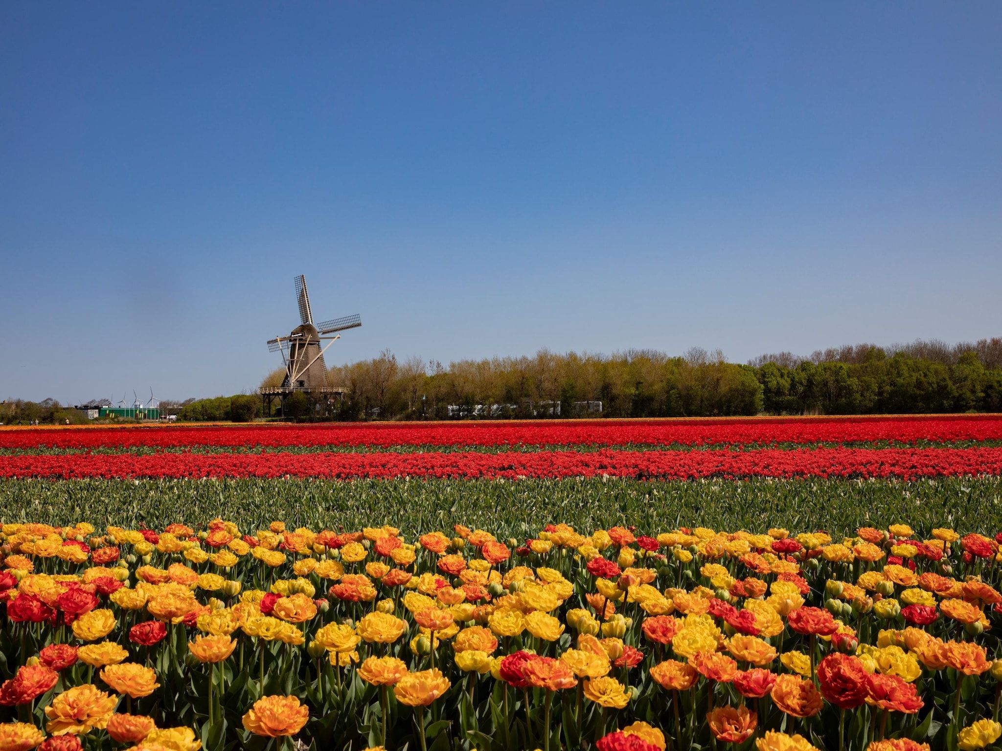 Resort Callantsoog 4 in Callantsoog - Foto 12 van 41