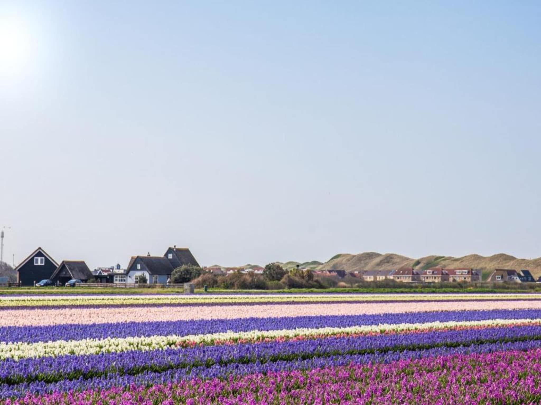 Resort Callantsoog 5 in Callantsoog - Foto 38 van 40