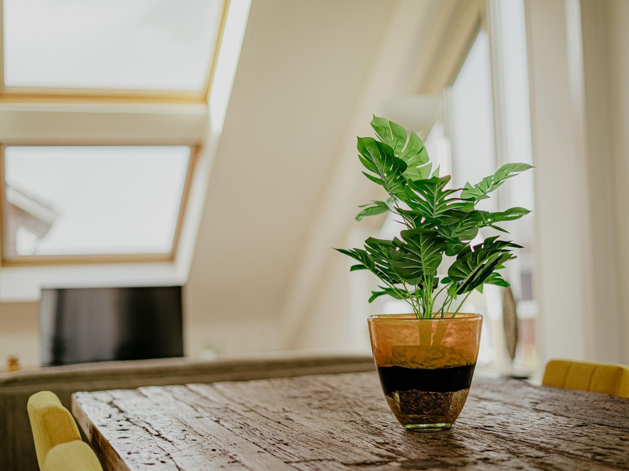 Sfeerbeeld van Waterpark de Meerparel 12 in Uitgeest