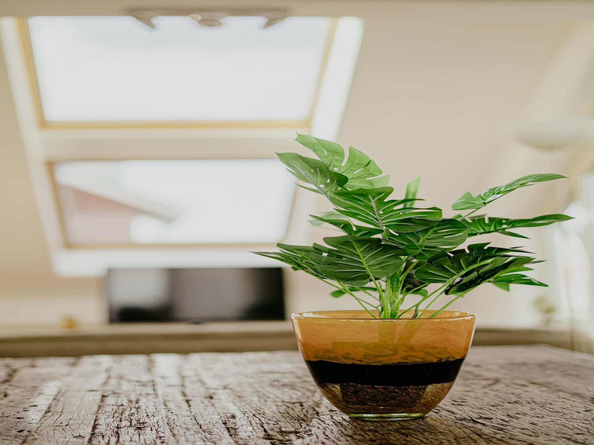 Sfeerbeeld van Waterpark de Meerparel 12 in Uitgeest