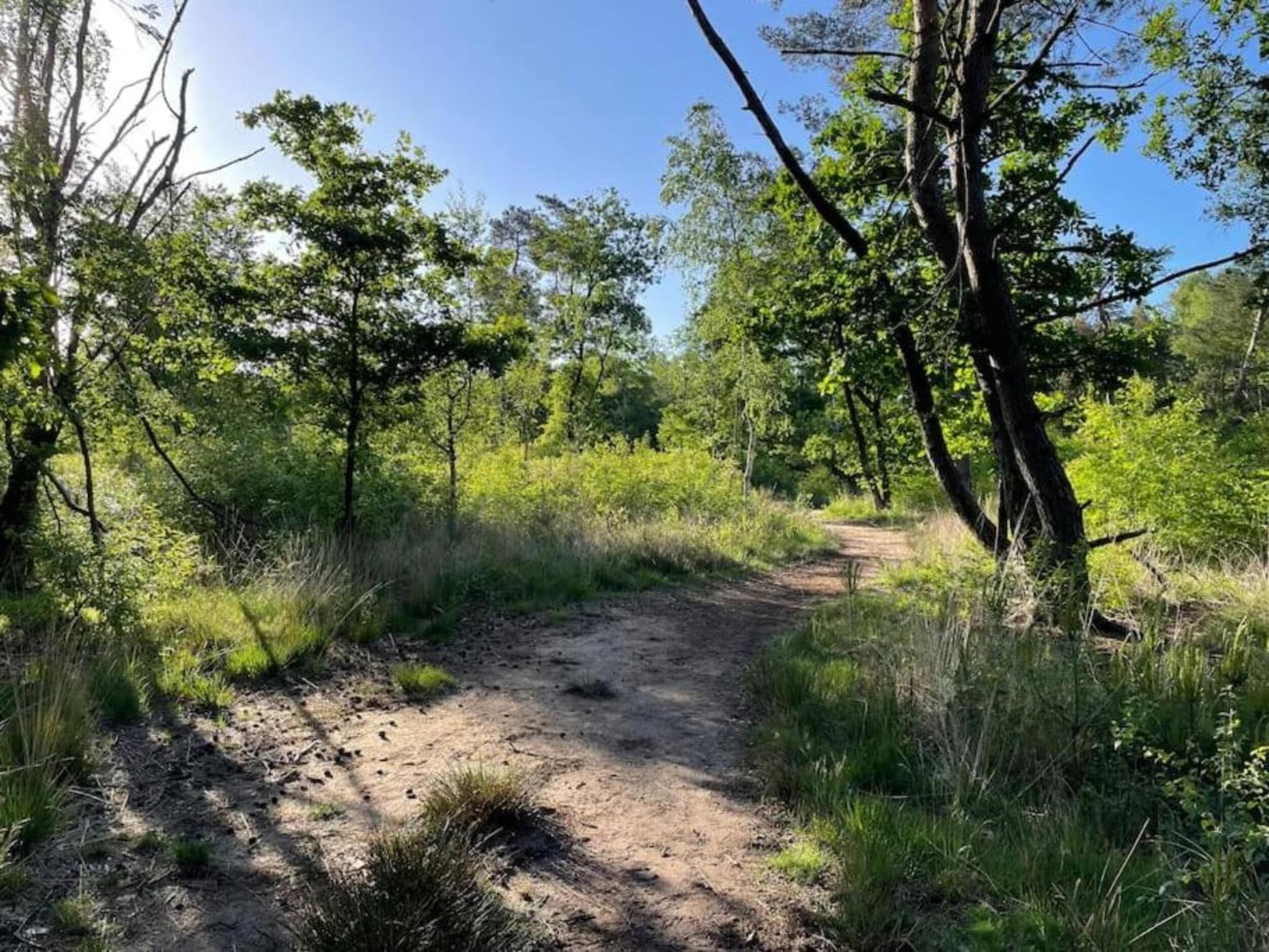 De omgeving van Vakantiepark De Rimboe & De Woeste Hoogte 13 in Hoenderloo