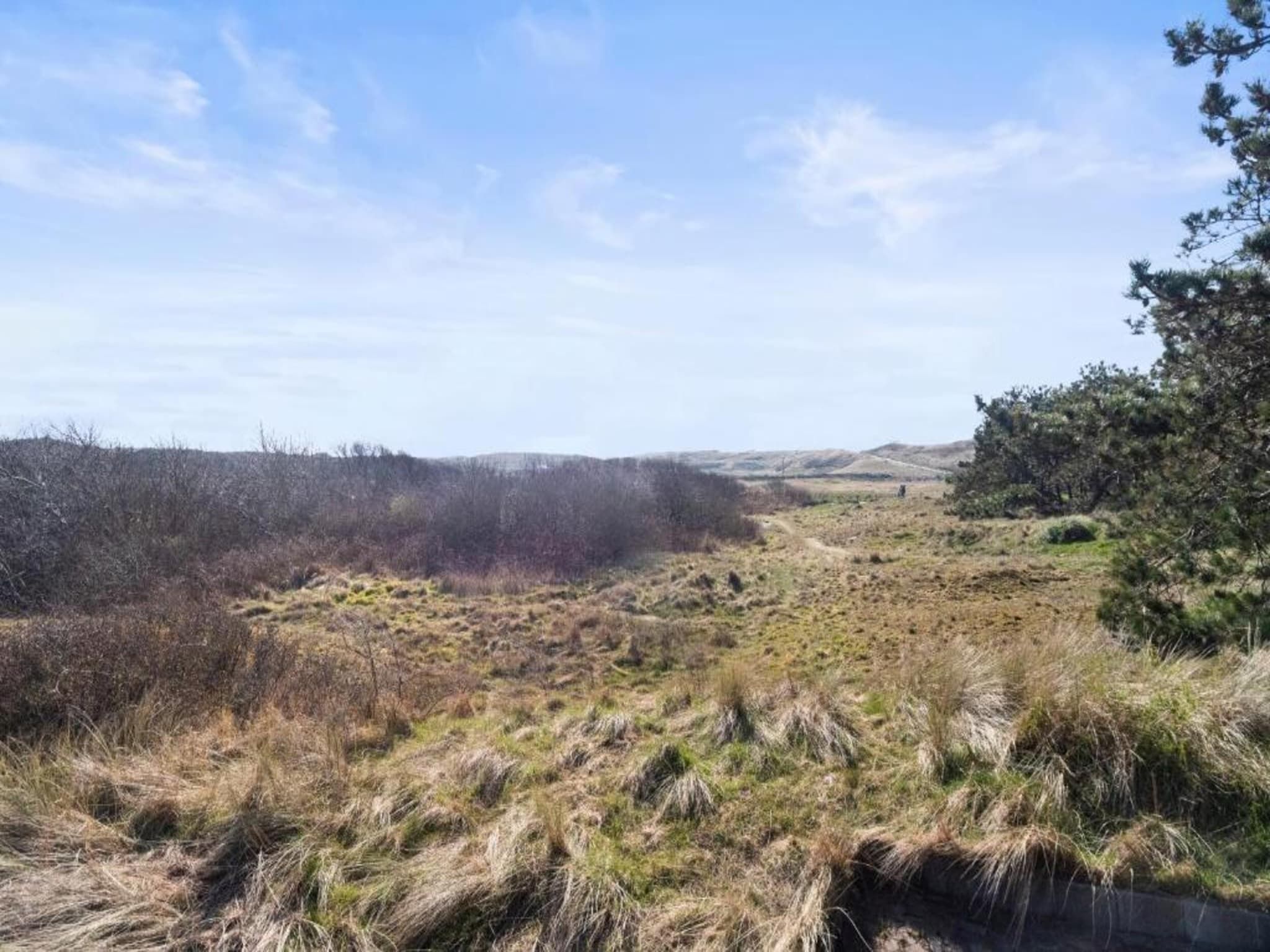 Vakantiepark Callassande 4 in Callantsoog - Foto 34 van 41