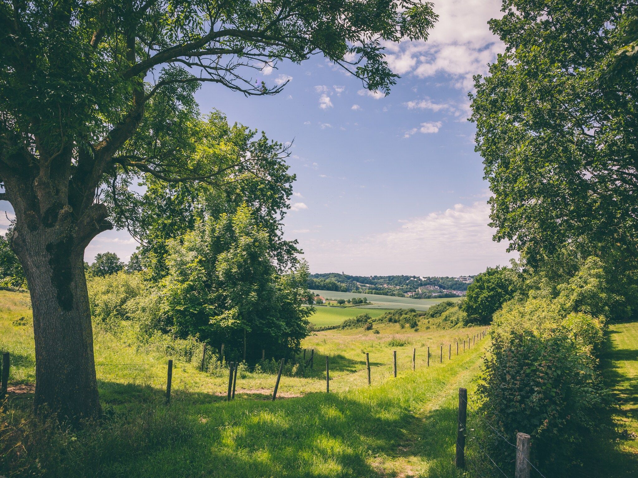De omgeving van Bungalowpark Schin op Geul 14 in Walem