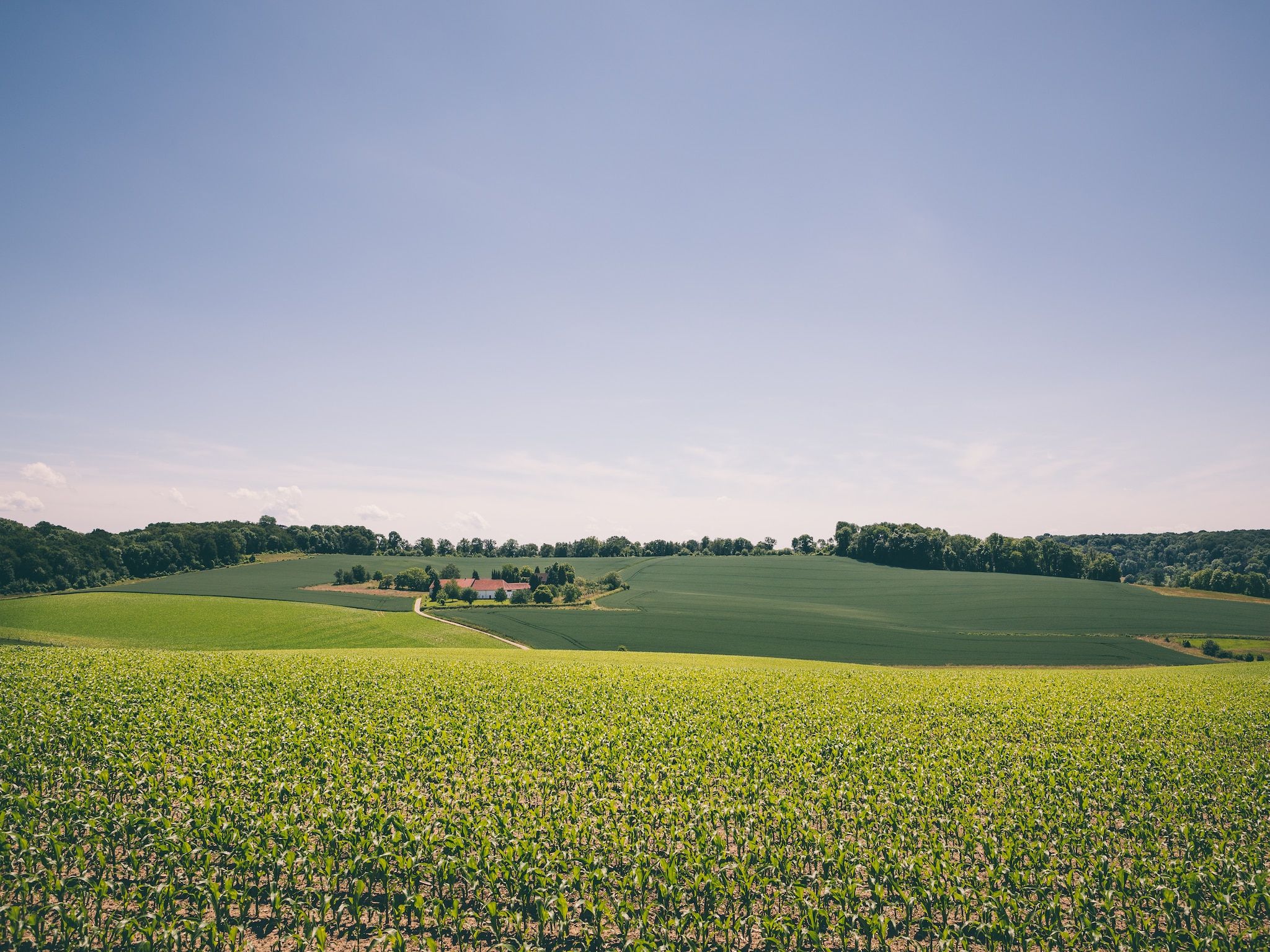 De omgeving van Bungalowpark Schin op Geul 14 in Walem