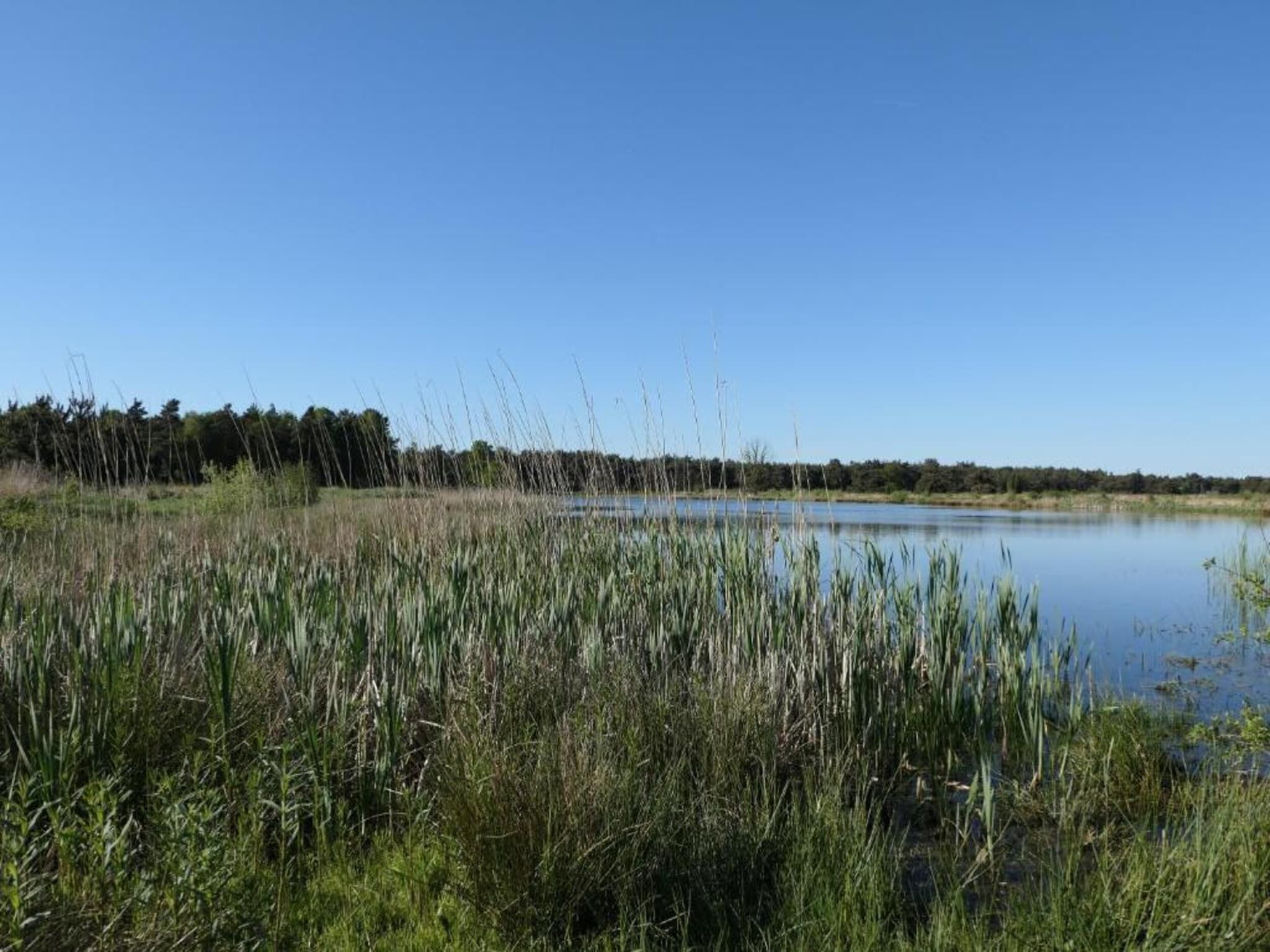 De omgeving van Recreatiepark Tolplas 17 in Hoge Hexel
