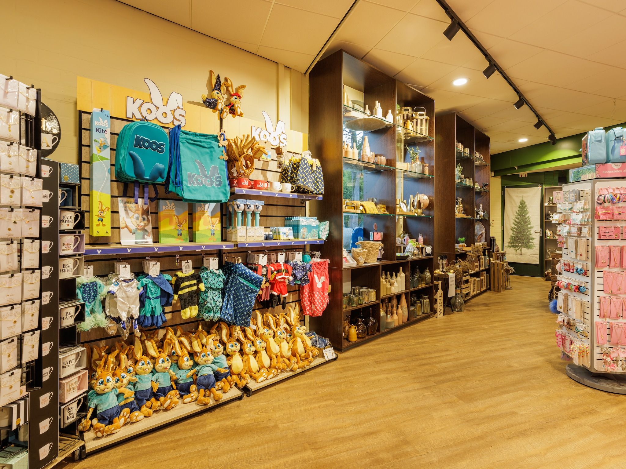 Parkfaciliteiten bij Vakantiepark Hunzedal 15 in Borger