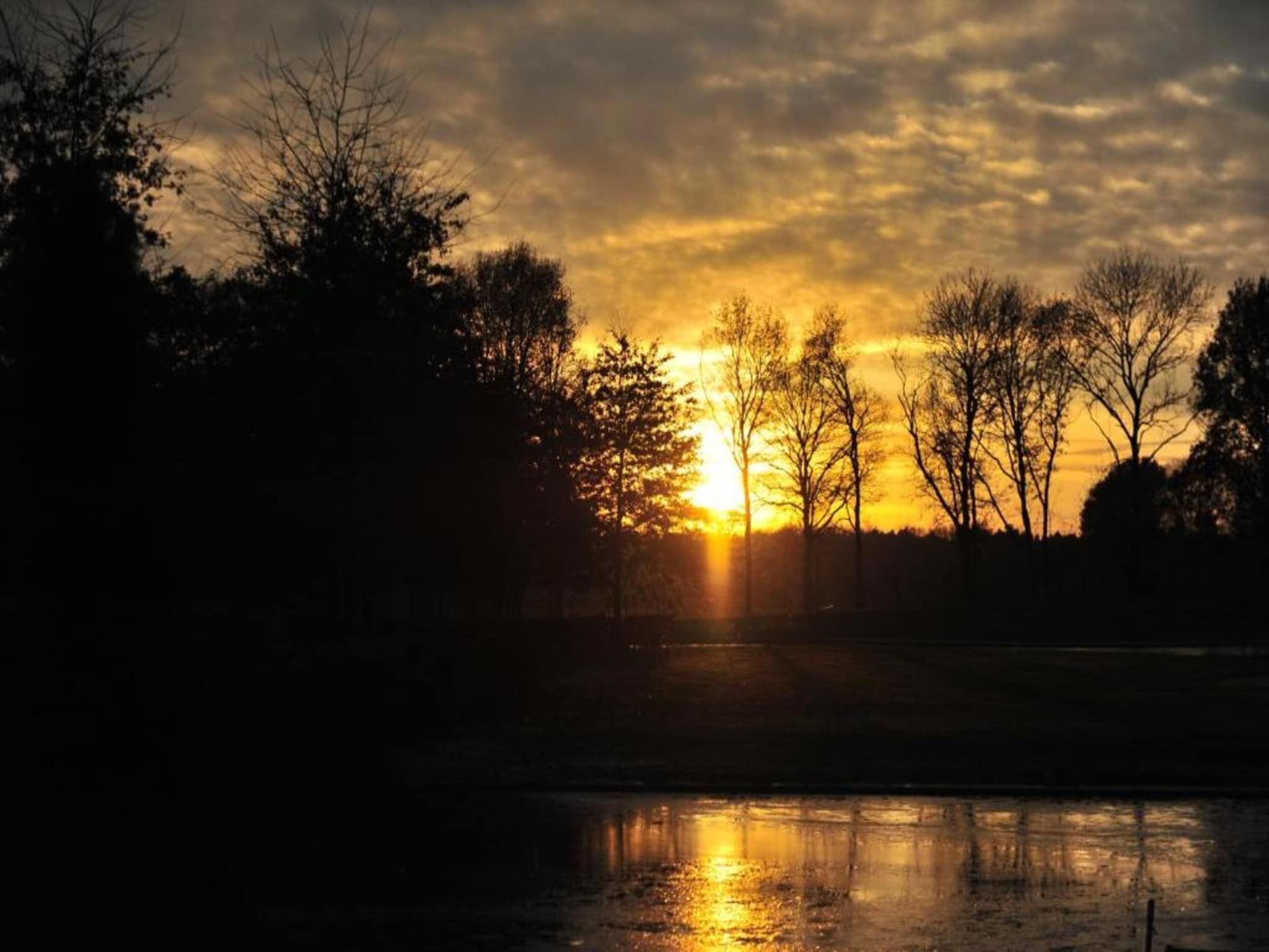 Vakantiepark Klein Vink 19 in Arcen - Foto 21 van 40