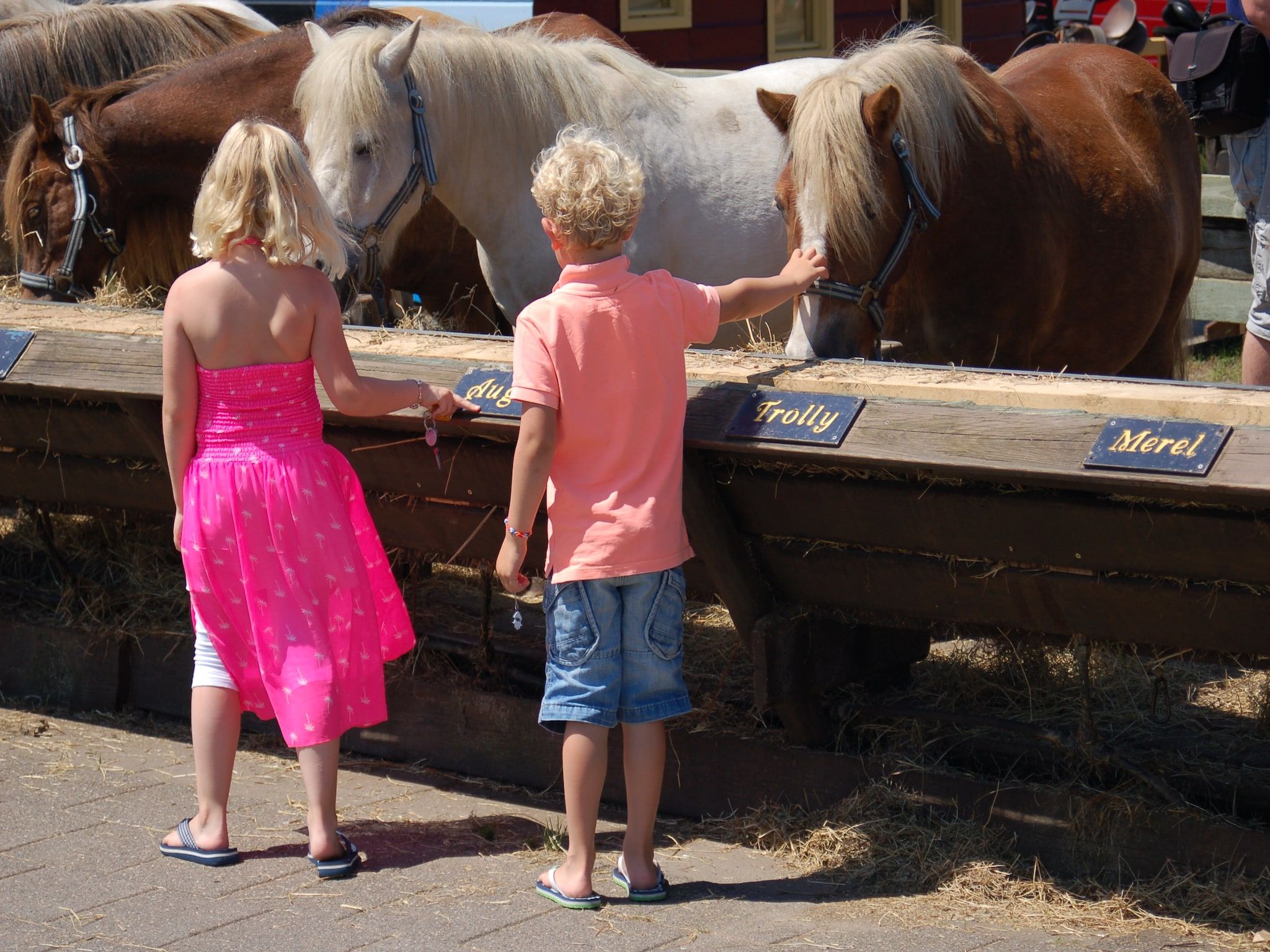 Sfeerbeeld van Kustpark Texel 14 in De Koog