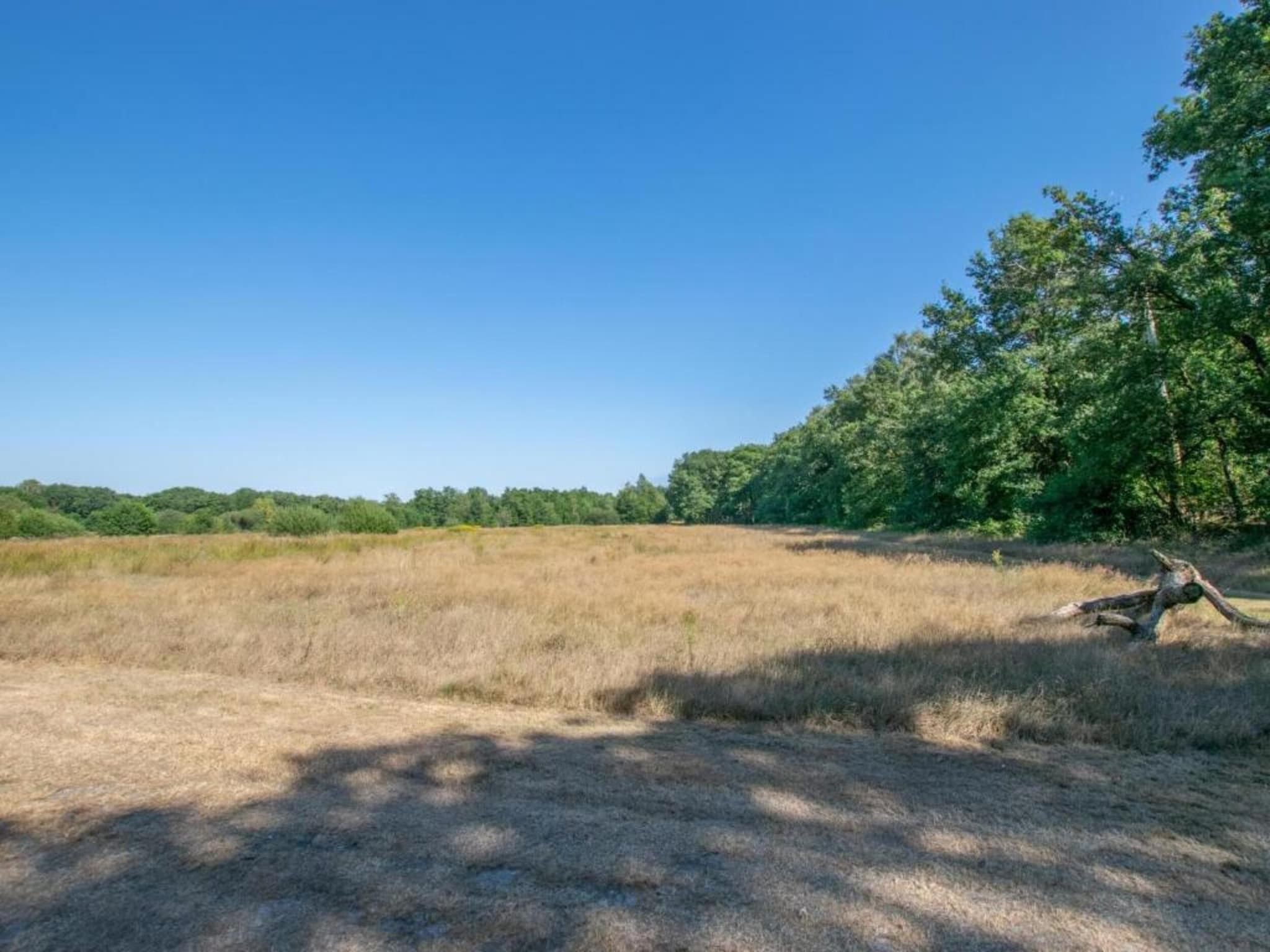 Vakantiepark Sandberghe 12 in Uden - Foto 28 van 40