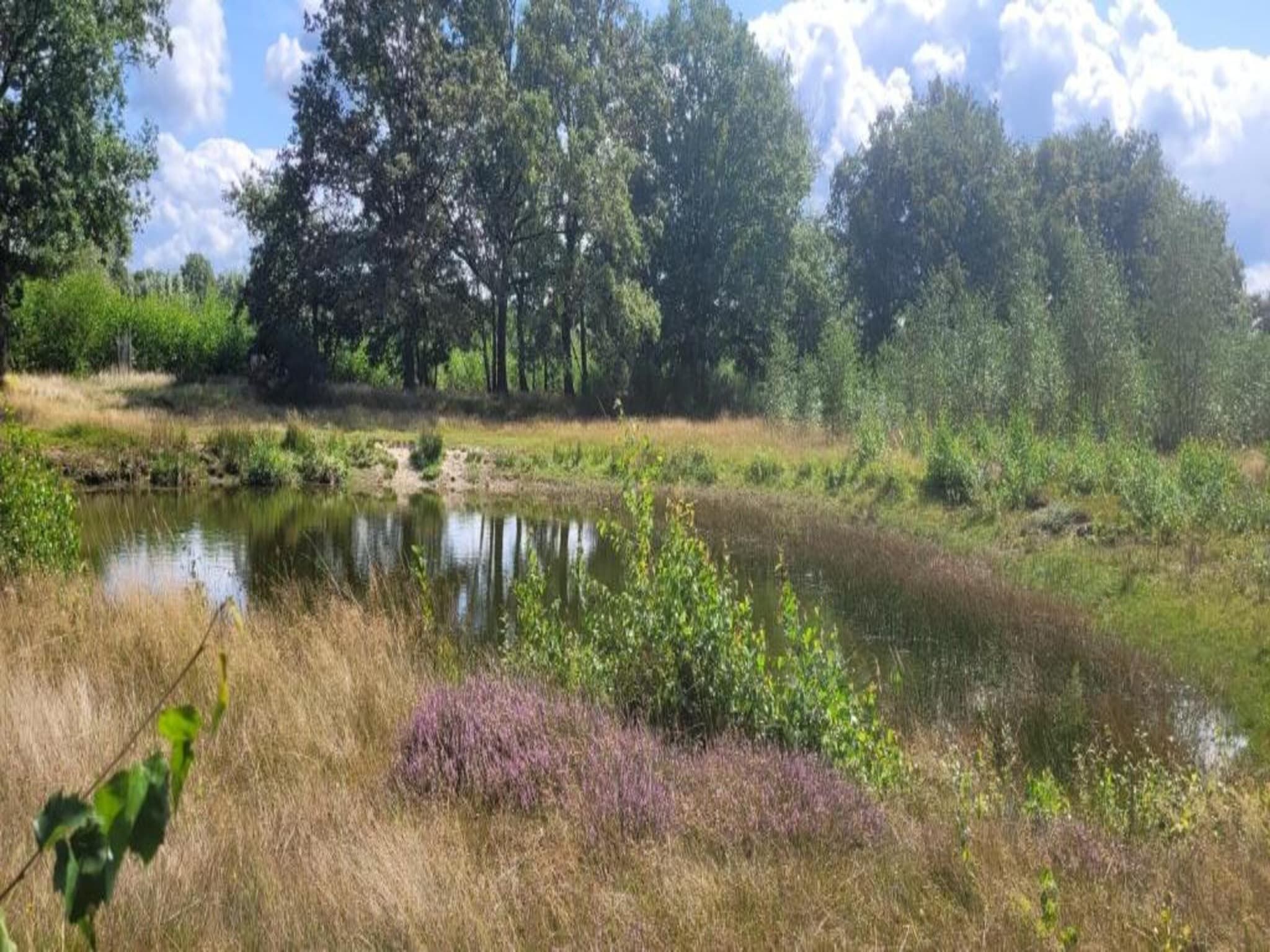 Vakantiepark Sandberghe 12 in Uden - Foto 29 van 40