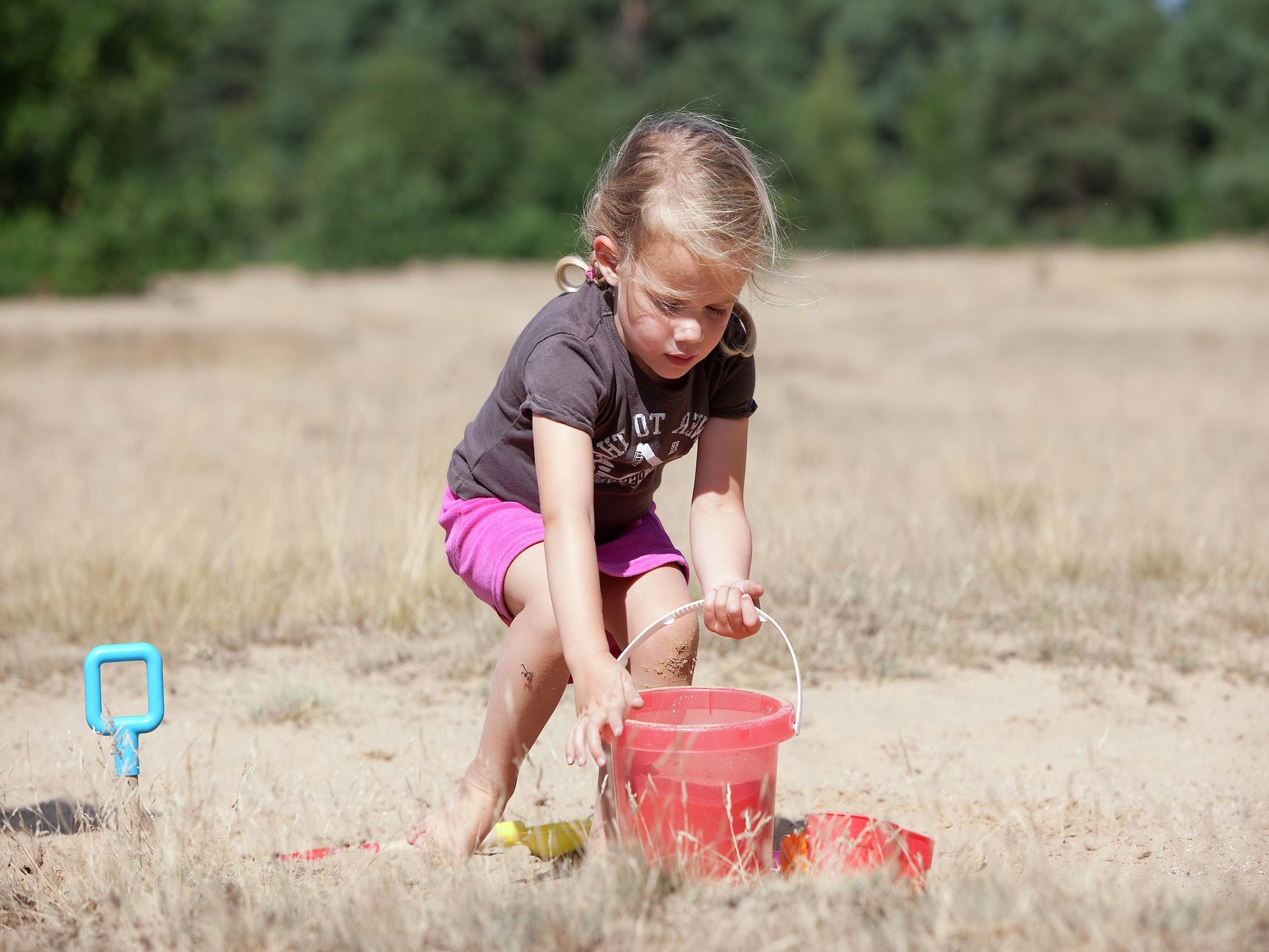 Sfeerbeeld van Vakantiepark de Berkenhorst 11 in Kootwijk
