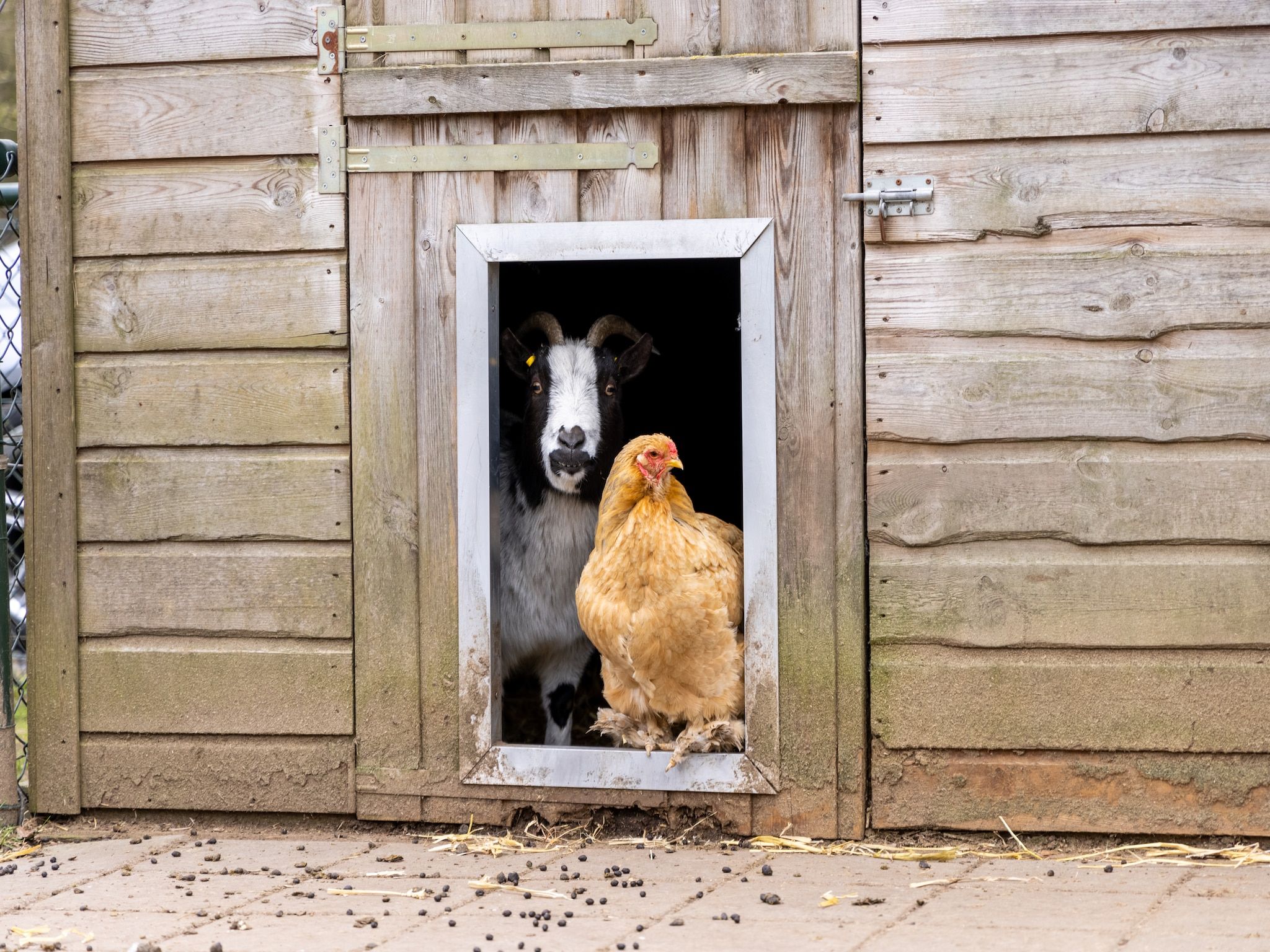 Sfeerbeeld van De Veluwse Hoevegaerde 1 in Putten