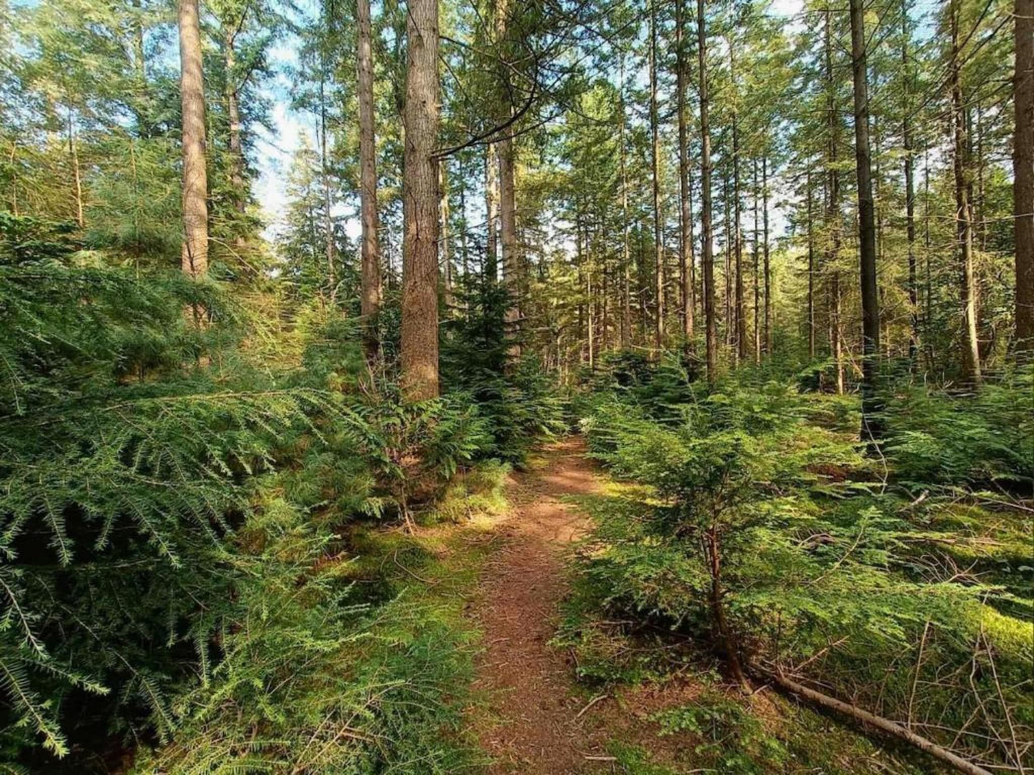 De omgeving van De Veluwse Hoevegaerde 1 in Putten