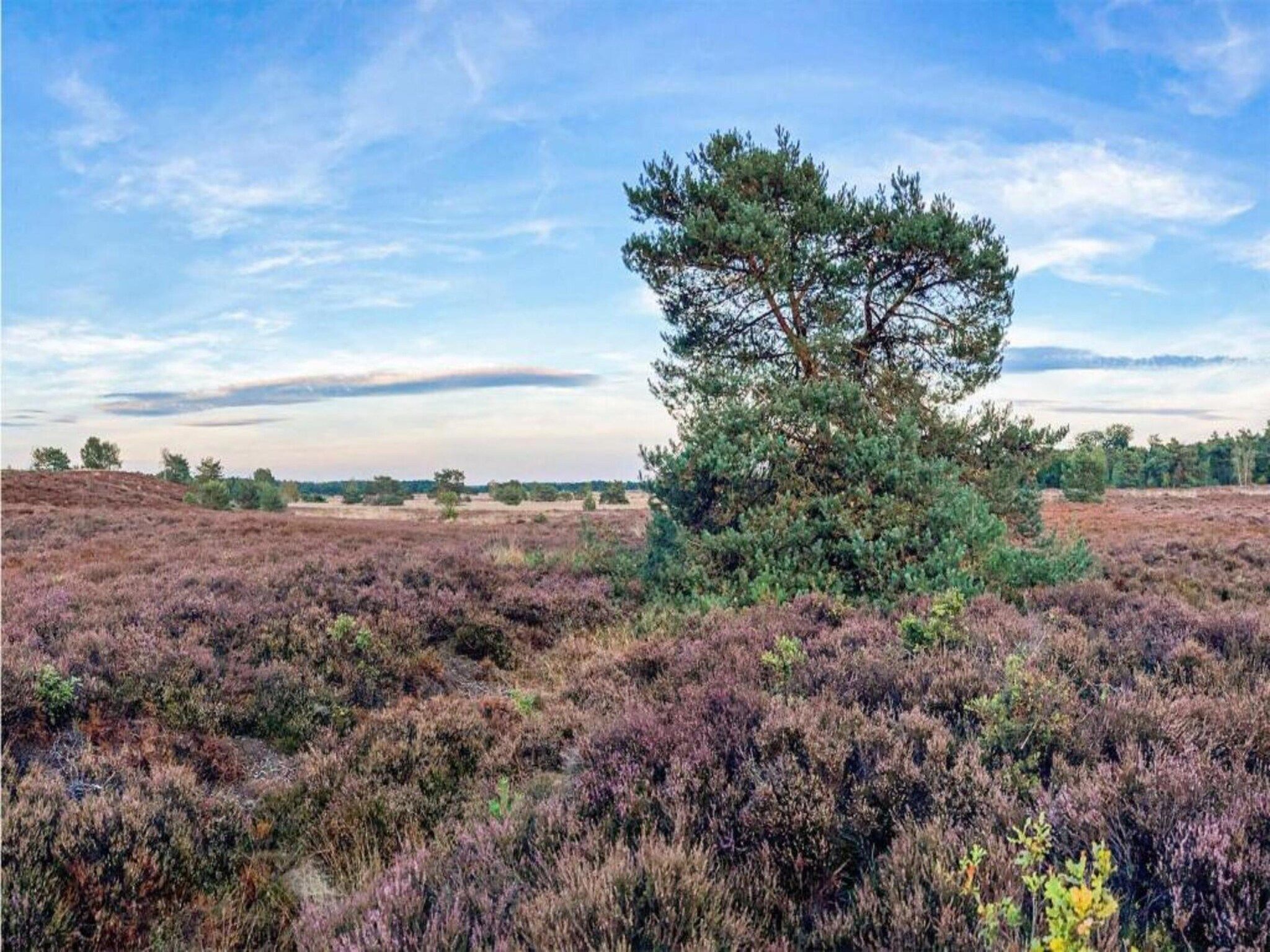 De omgeving van De Veluwse Hoevegaerde 2 in Putten