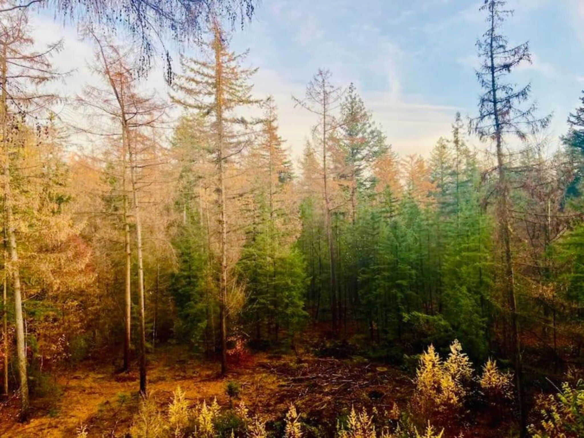 De omgeving van De Veluwse Hoevegaerde 2 in Putten