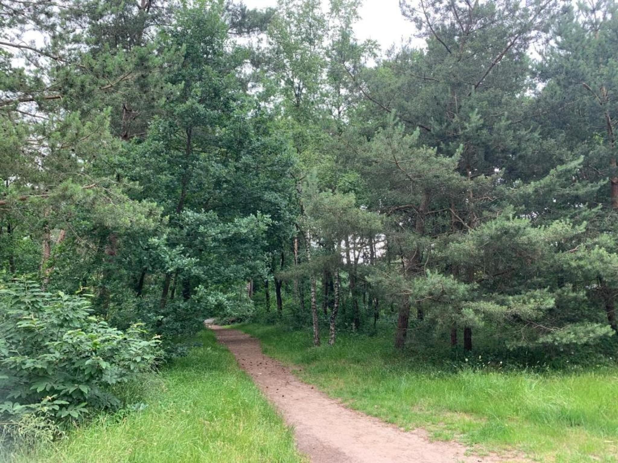 De omgeving van De Veluwse Hoevegaerde 4 in Putten