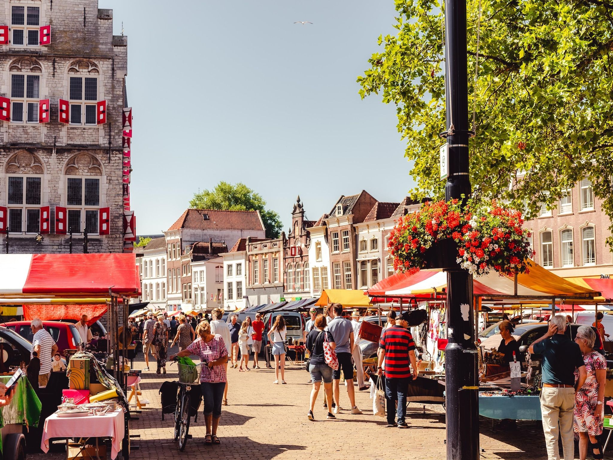 Cape Helius 23 in Hellevoetsluis - Foto 18 van 40