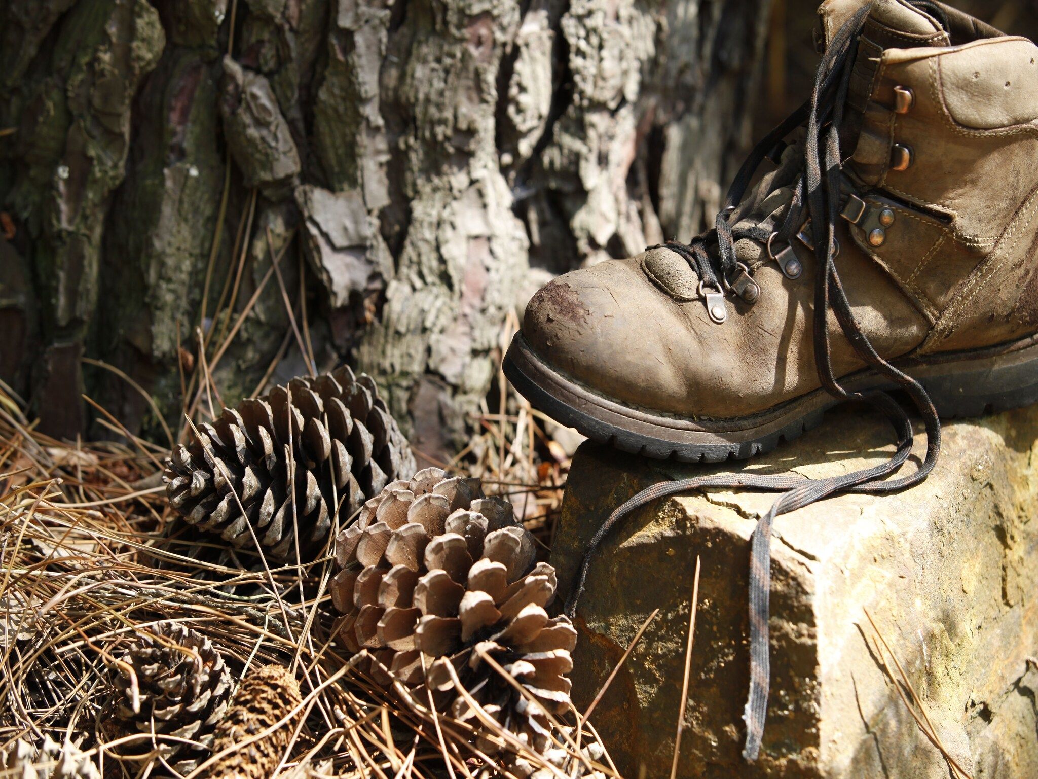 Sfeerbeeld van Vakantie bij Meeussen - Schuttersoord 2 in Mook