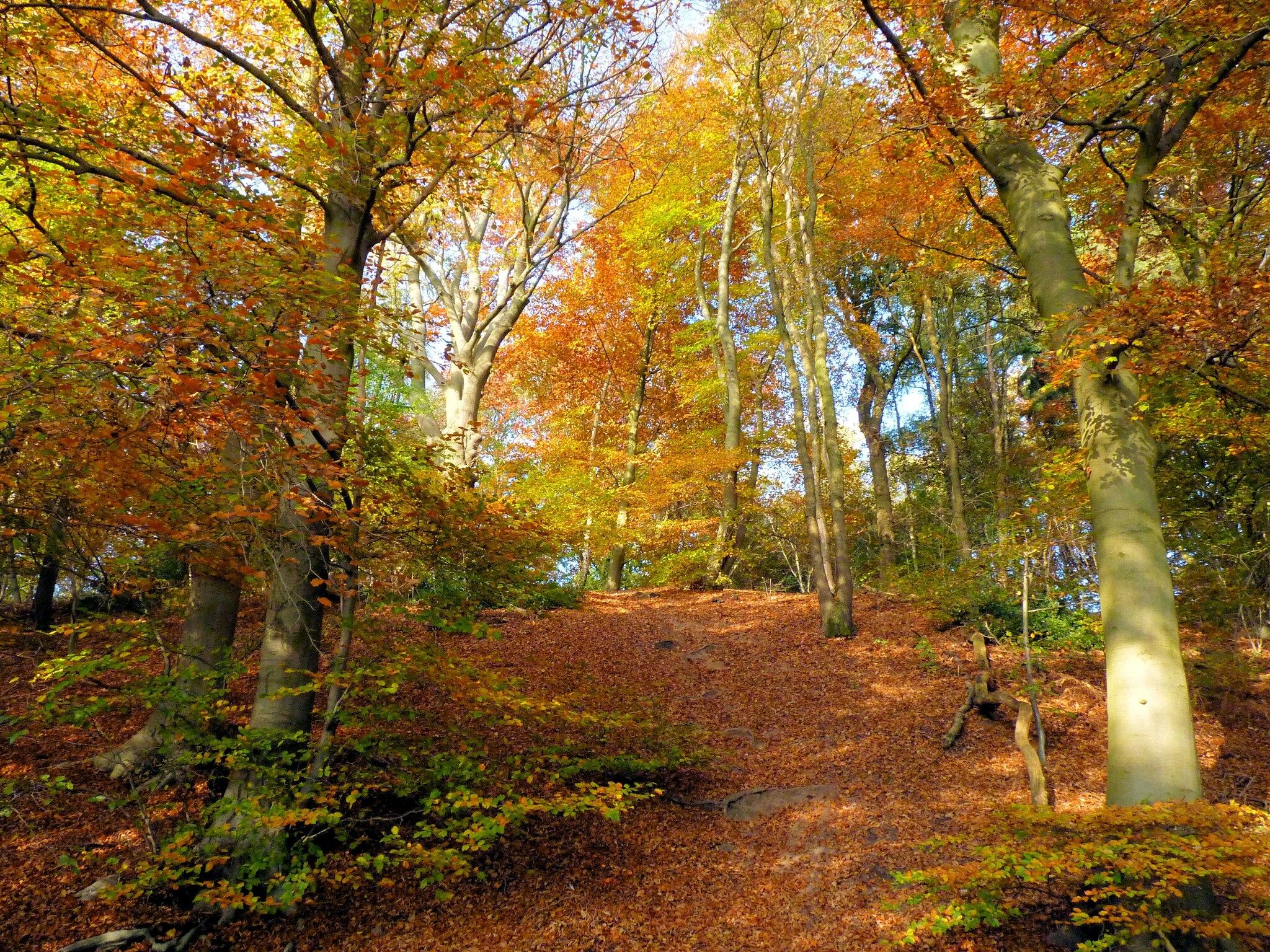 De omgeving van Vakantie bij Meeussen - Schuttersoord 2 in Mook