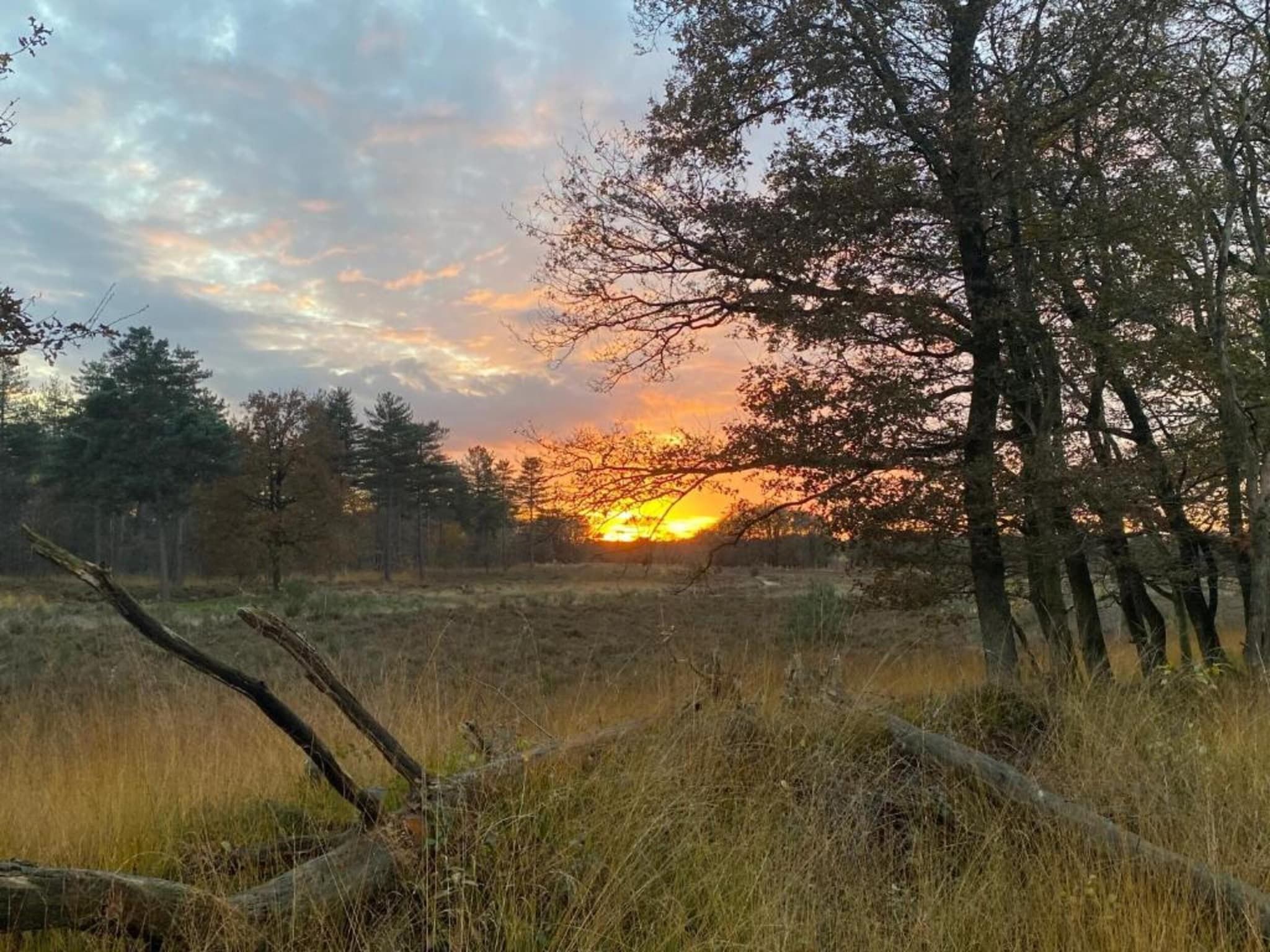 Vakantie bij Meeussen - Schuttersoord 2 in Mook - Foto 26 van 40