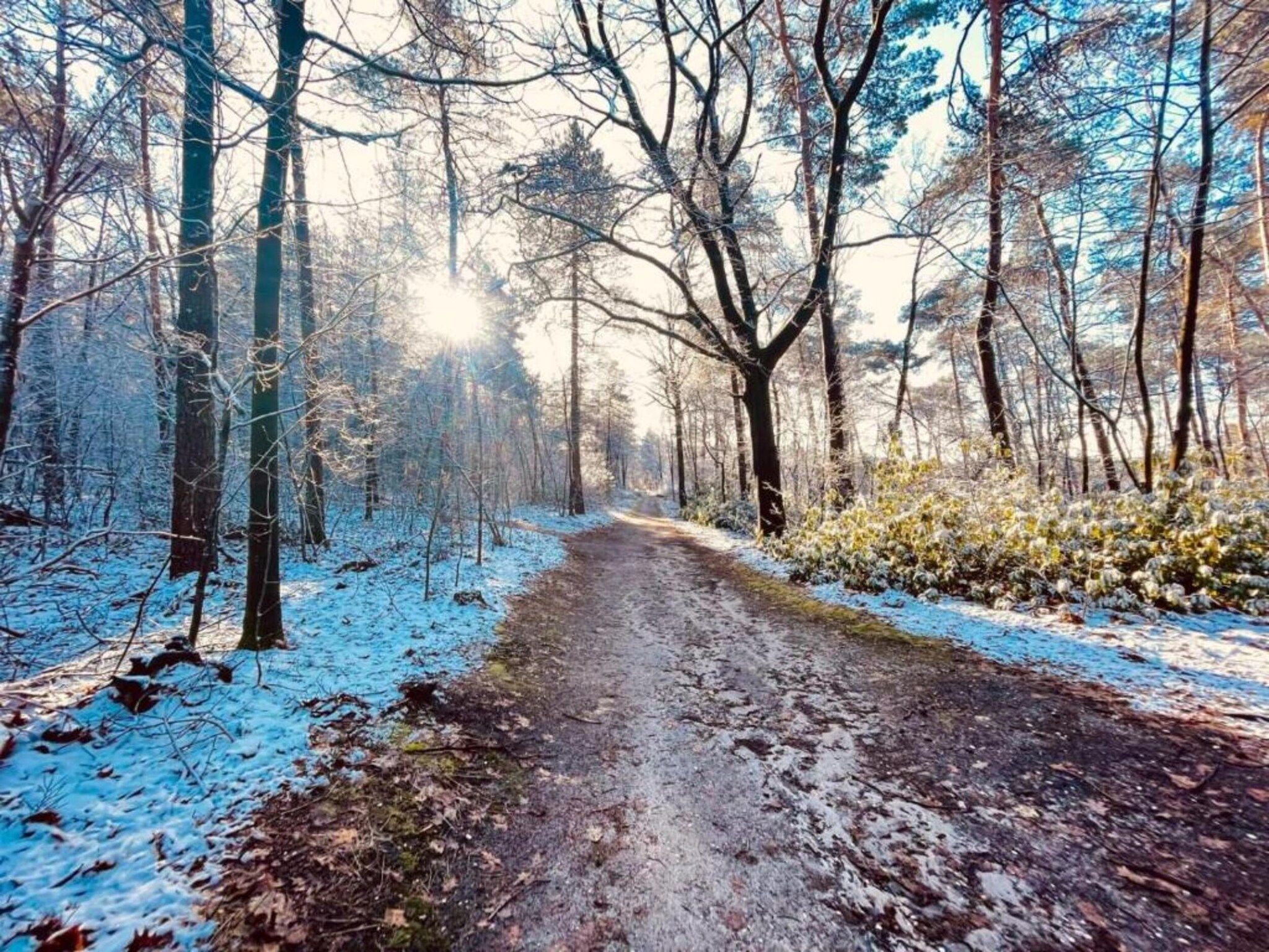 Vakantie bij Meeussen - Schuttersoord 2 in Mook - Foto 37 van 40