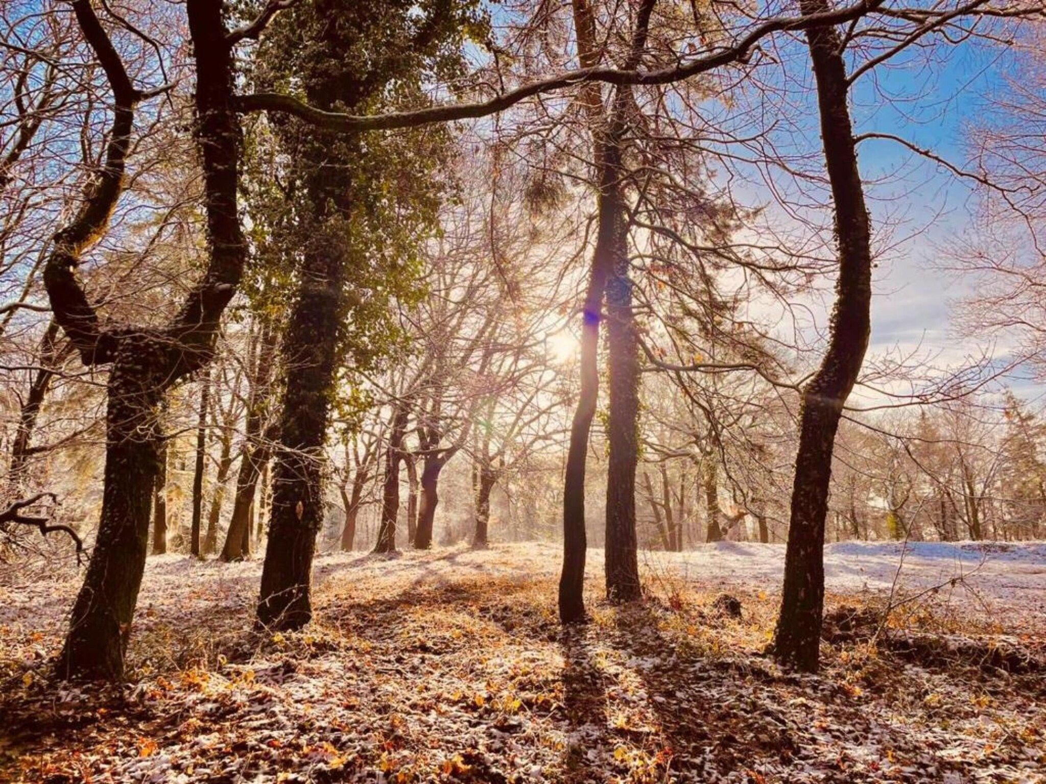Vakantie bij Meeussen - Schuttersoord 2 in Mook - Foto 38 van 40