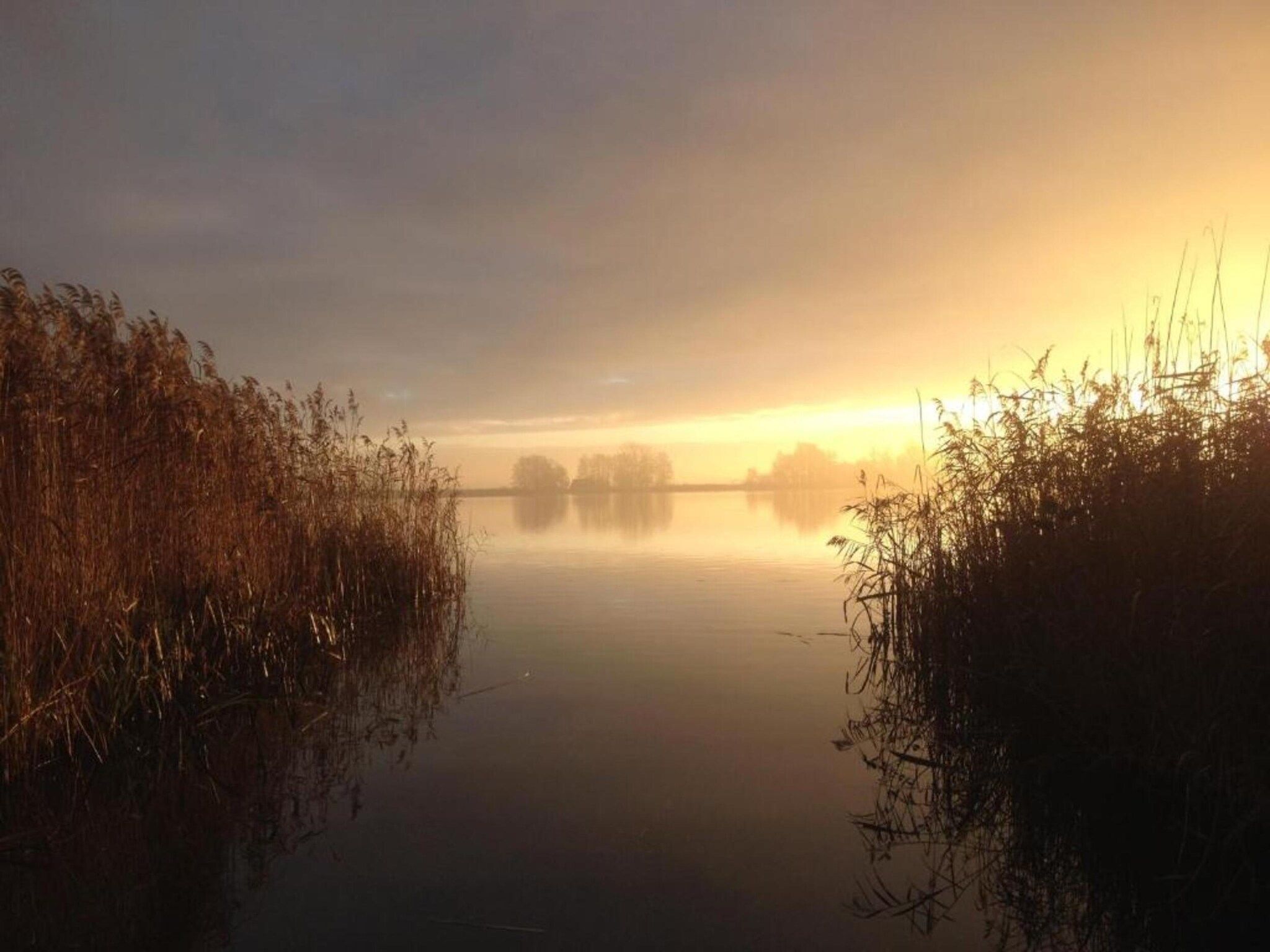 De omgeving van Vakantiepark Giethoorn 7 in Giethoorn
