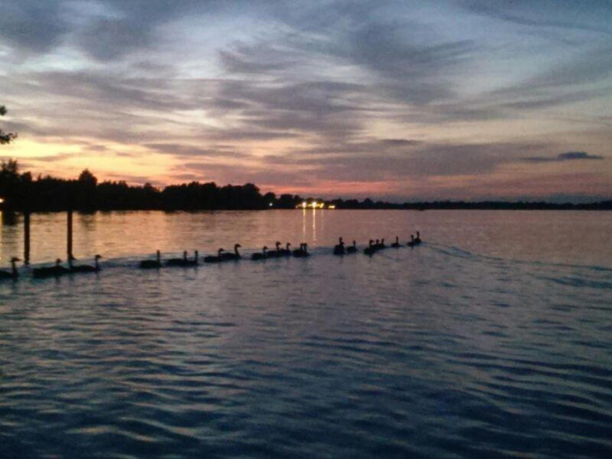 De omgeving van Vakantiepark Giethoorn 7 in Giethoorn