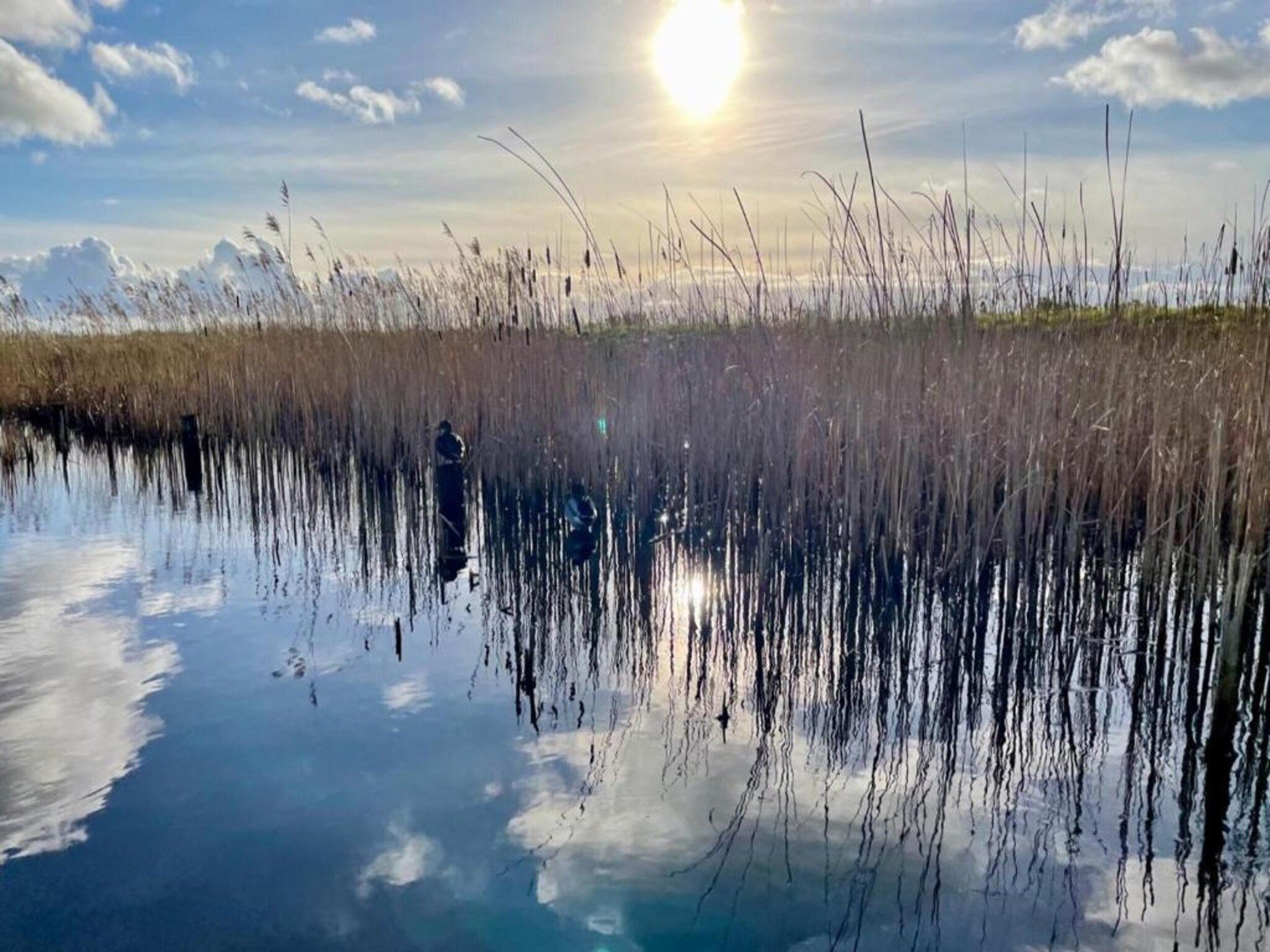 De omgeving van Vakantiepark Giethoorn 7 in Giethoorn