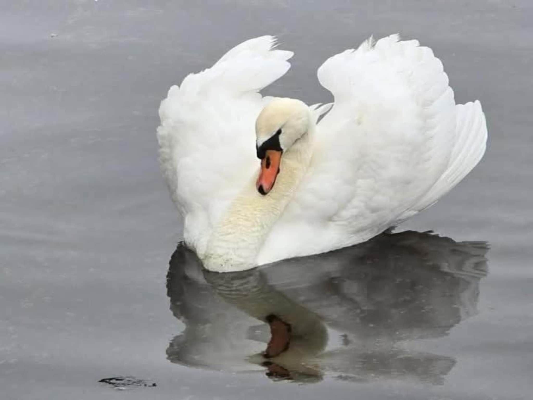Sfeerbeeld van Nautisch Centrum Scheveningen 5 in Den Haag