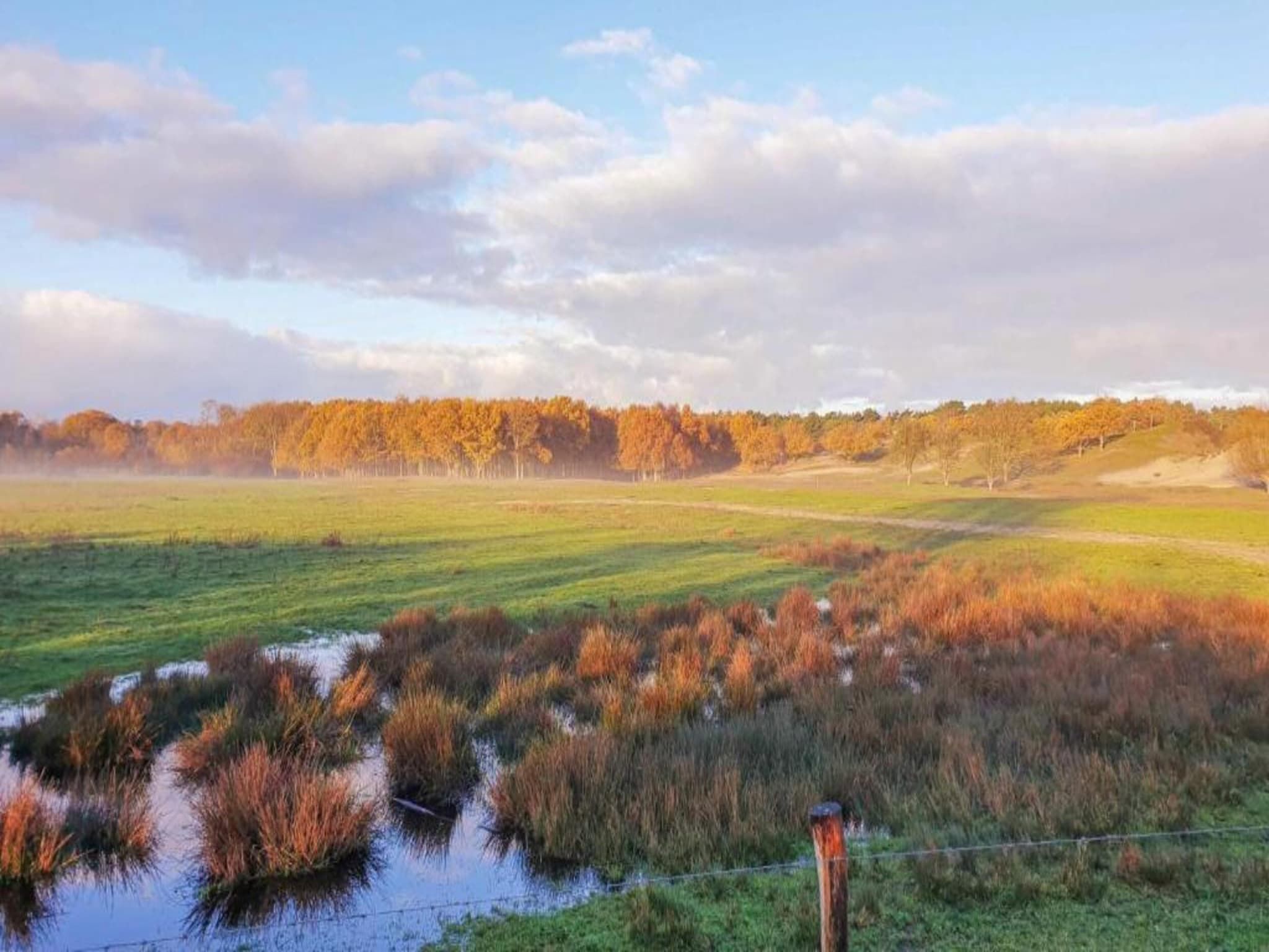 Vakantiepark Hof Domburg 23 in Domburg - Foto 24 van 31