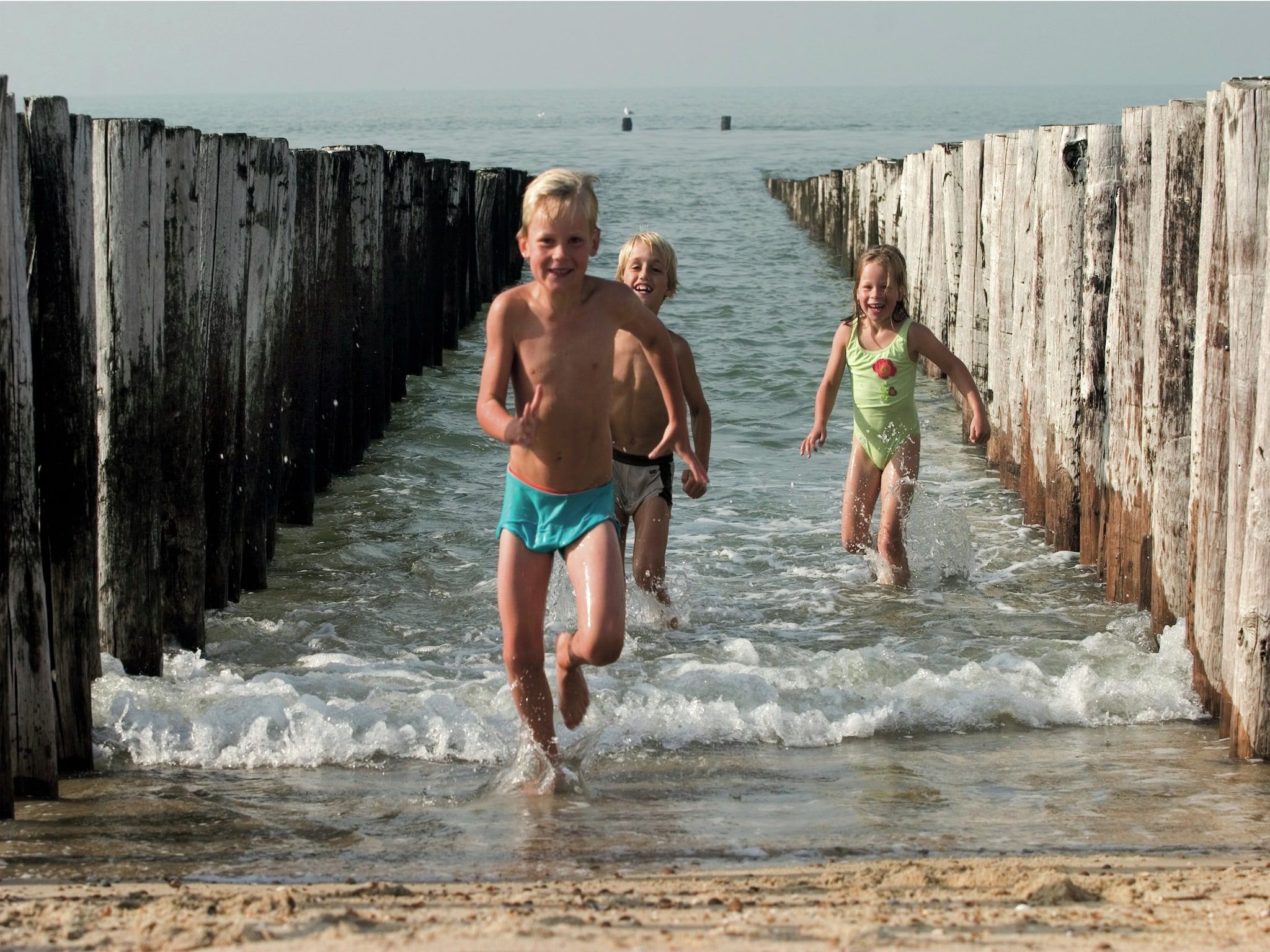 De omgeving van Vakantiepark Hof Domburg 25 in Domburg