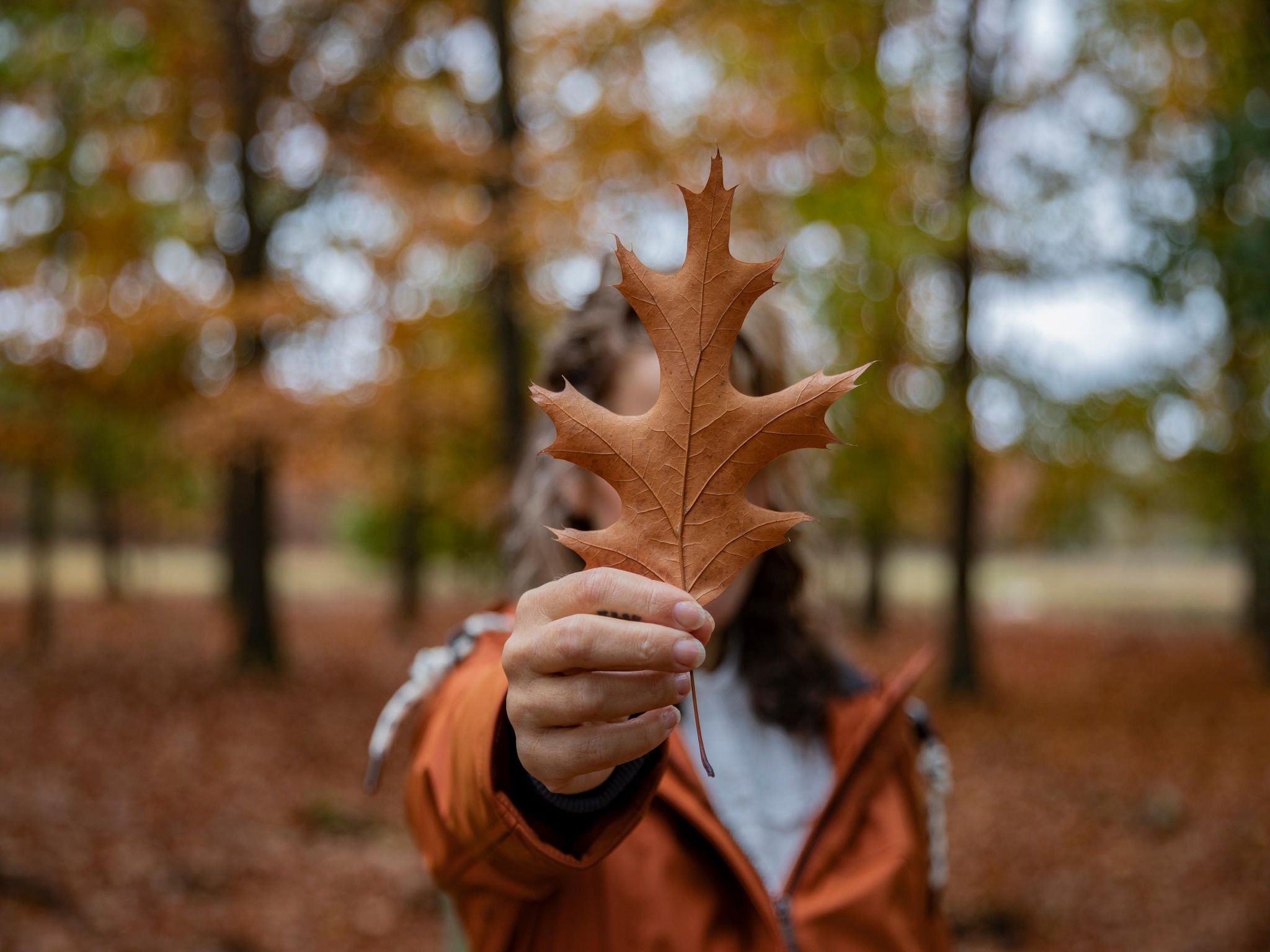 Sfeerbeeld van Vakantiepark De Heihorsten 2 in Someren