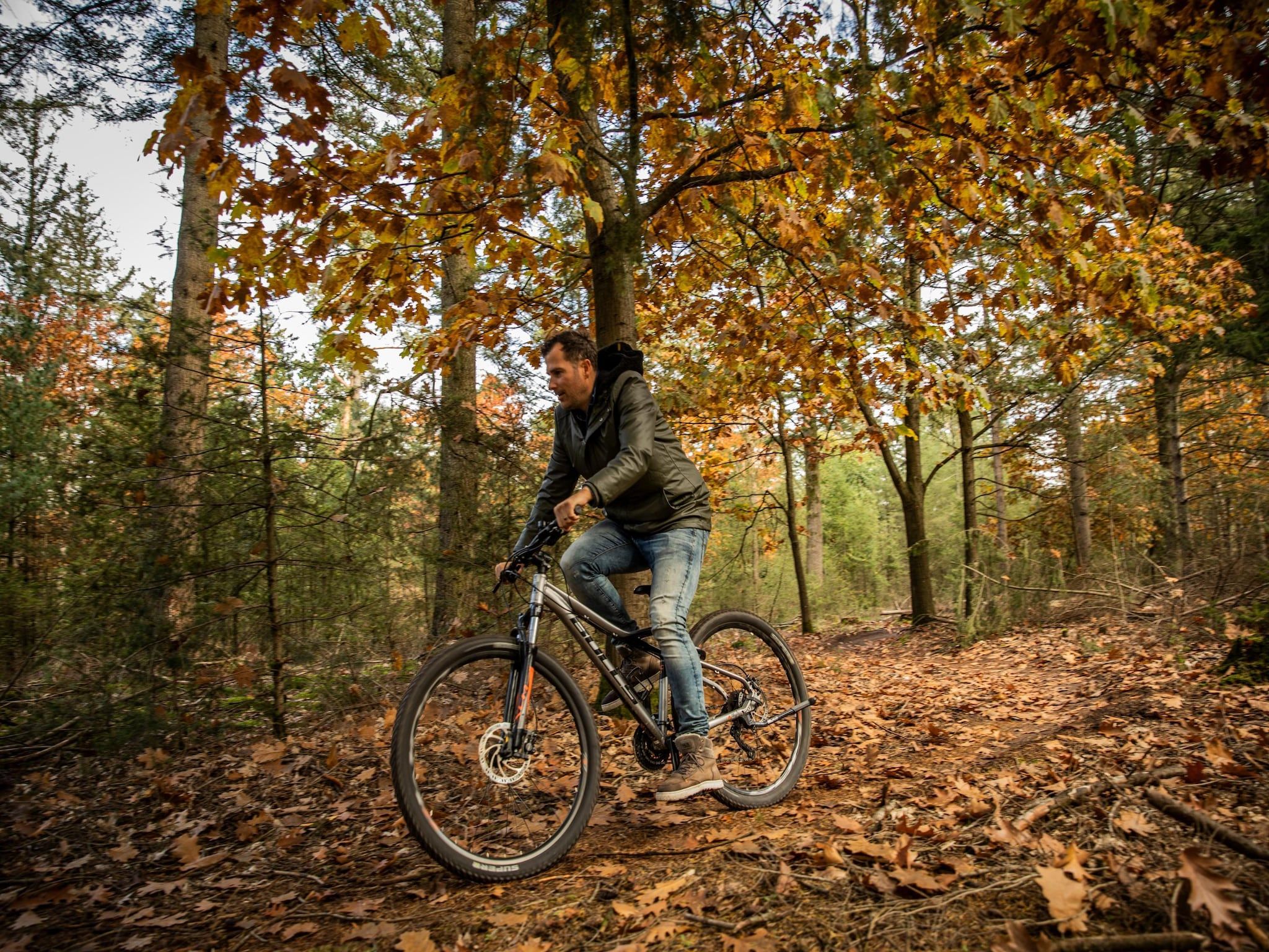Sfeerbeeld van Vakantiepark De Heihorsten 2 in Someren