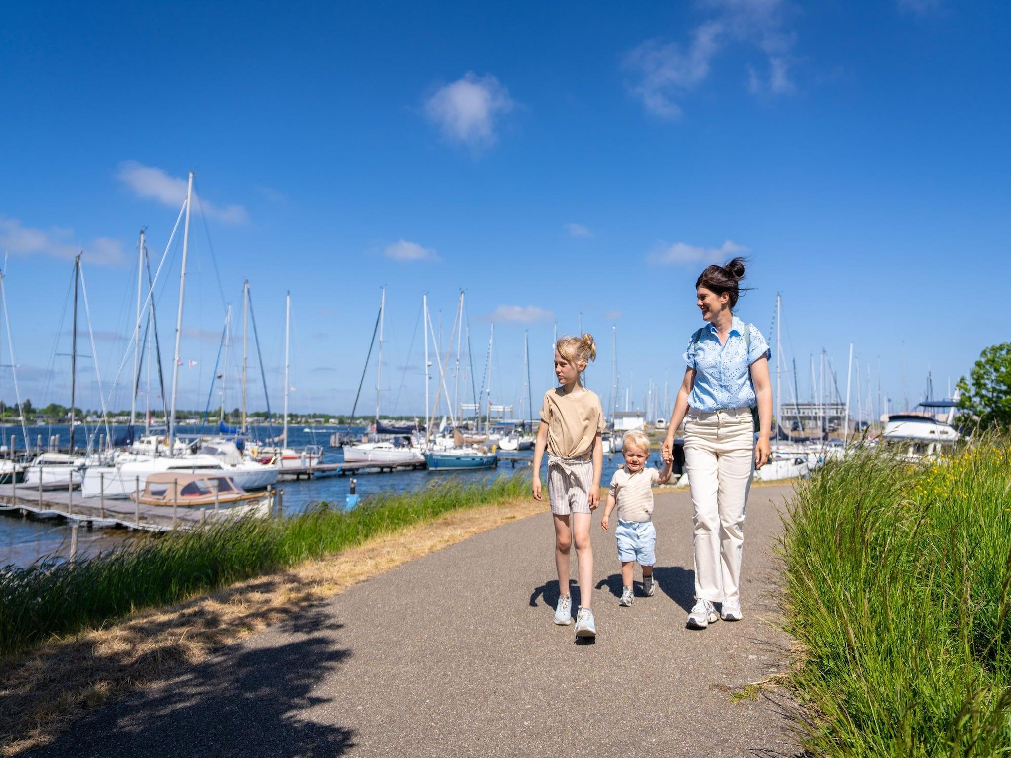 De omgeving van Park Veerse Kreek 4 in Wolphaartsdijk